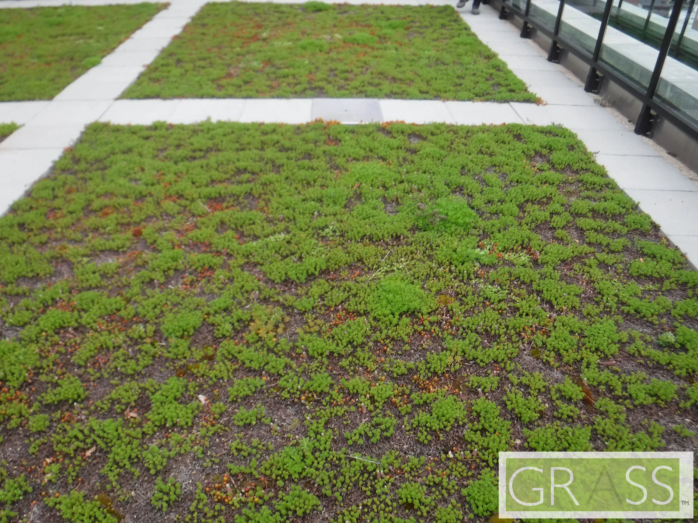 DSCF7376jpeg50 (1).jpg