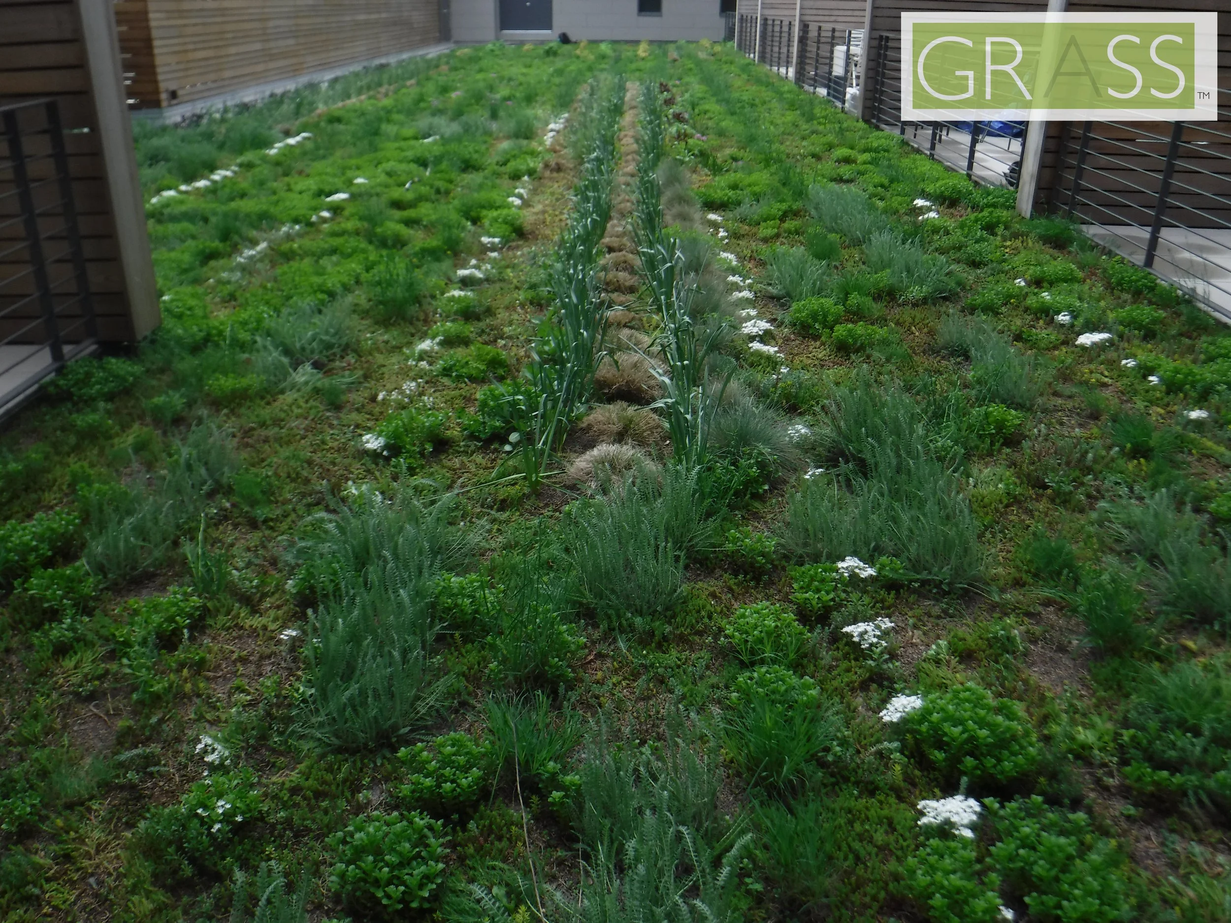 Copy of DSCF8047.JPG