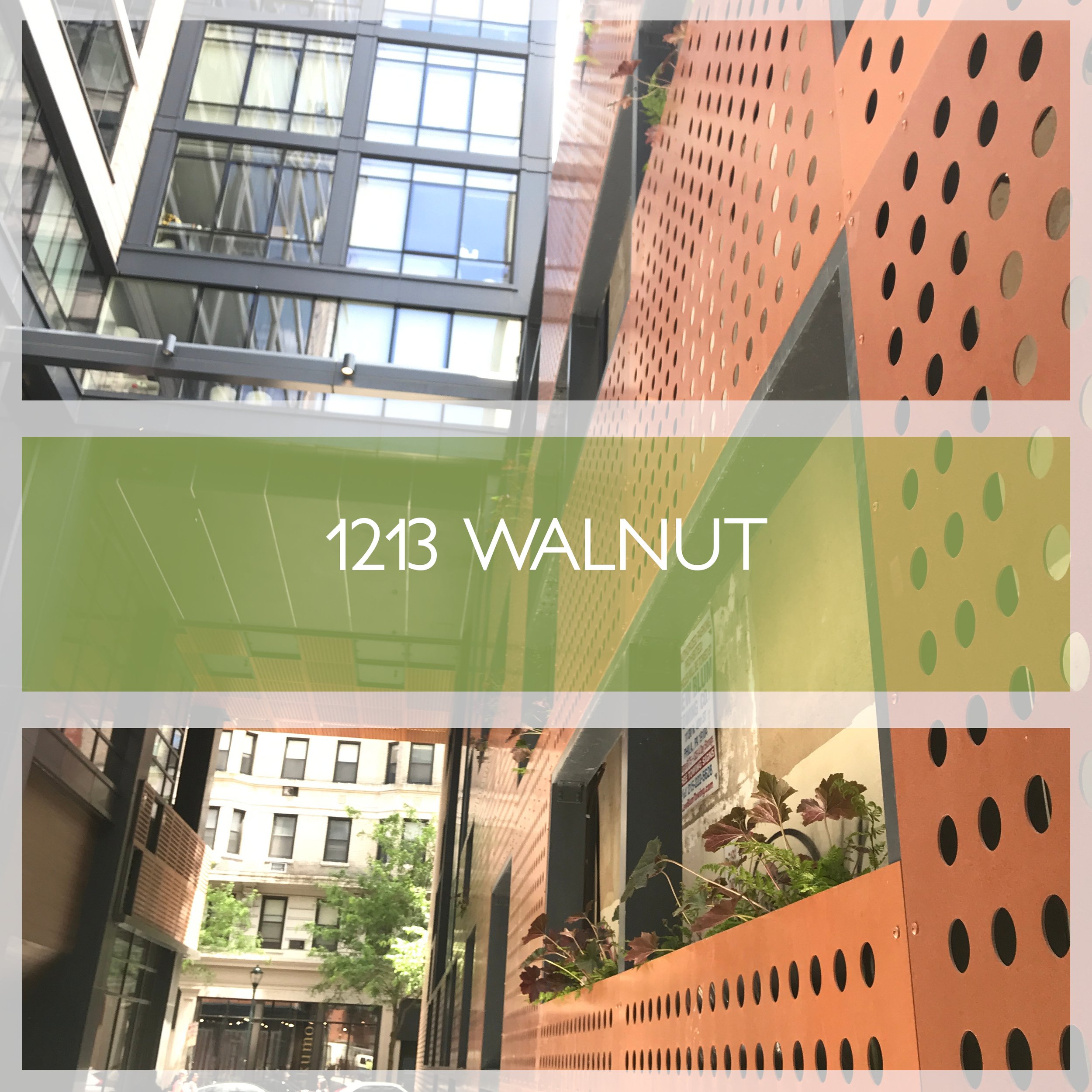 1213WALNUT.jpg