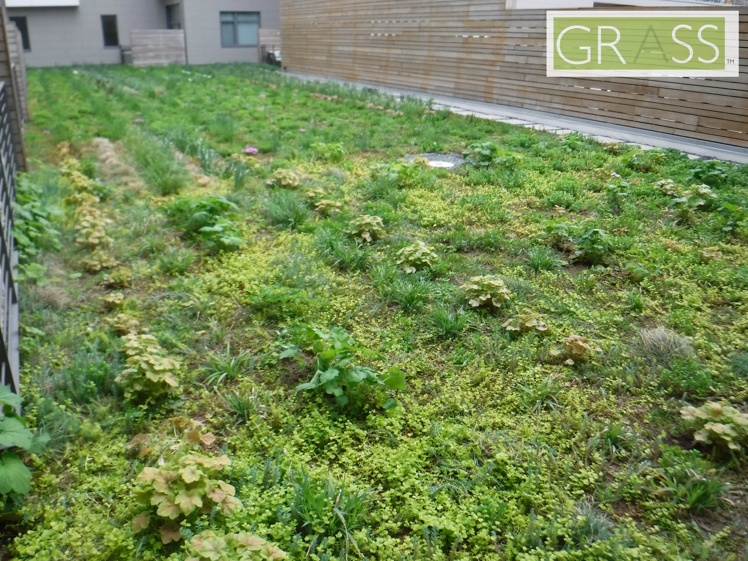 Copy of DSCF8058.JPG