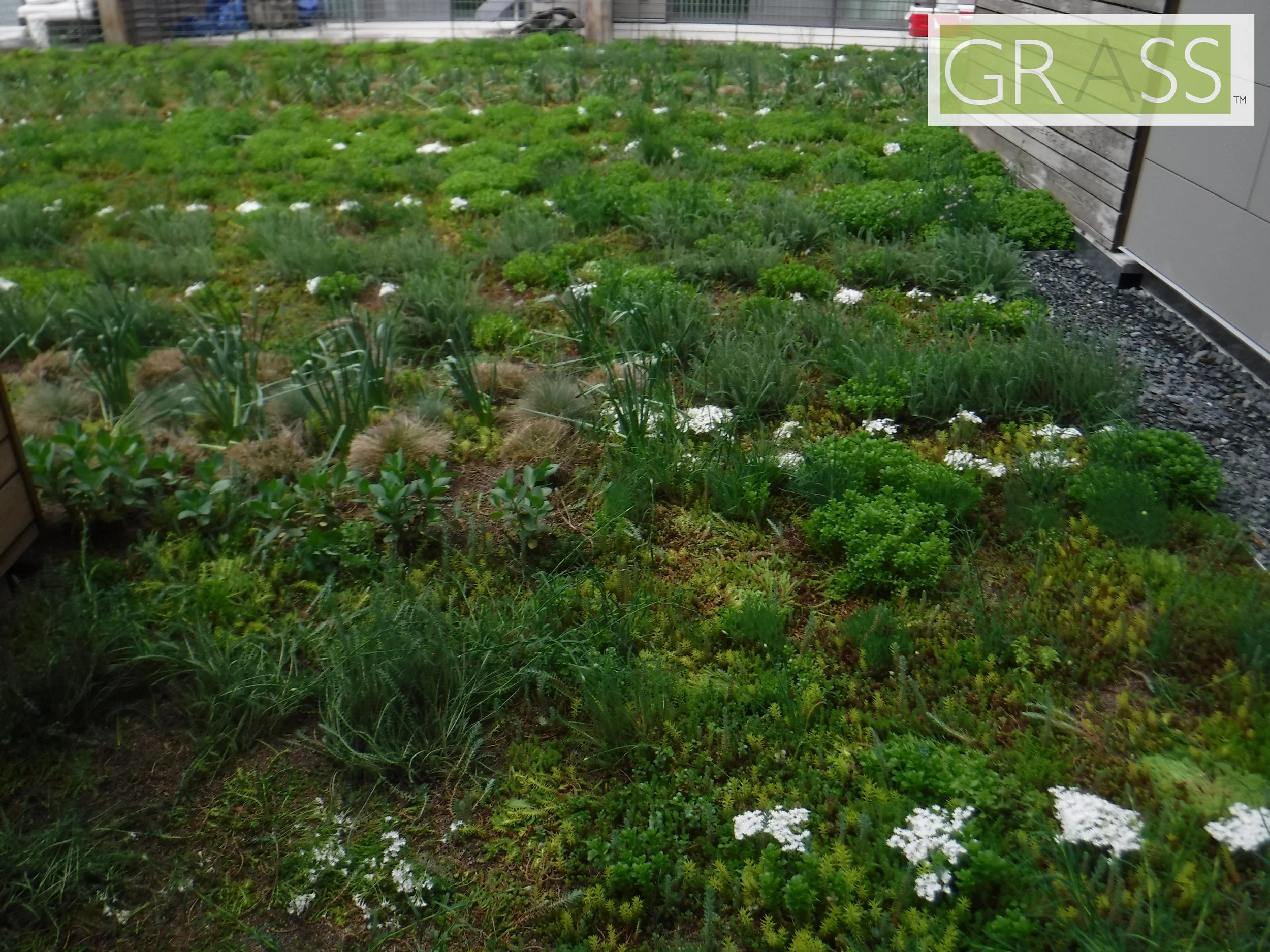 Copy of DSCF8048.JPG