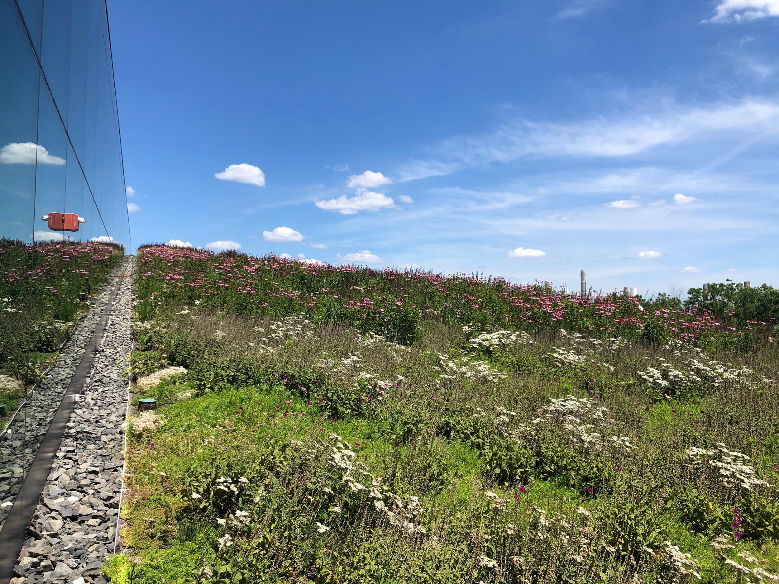 Temple slope IMG_7231.jpg