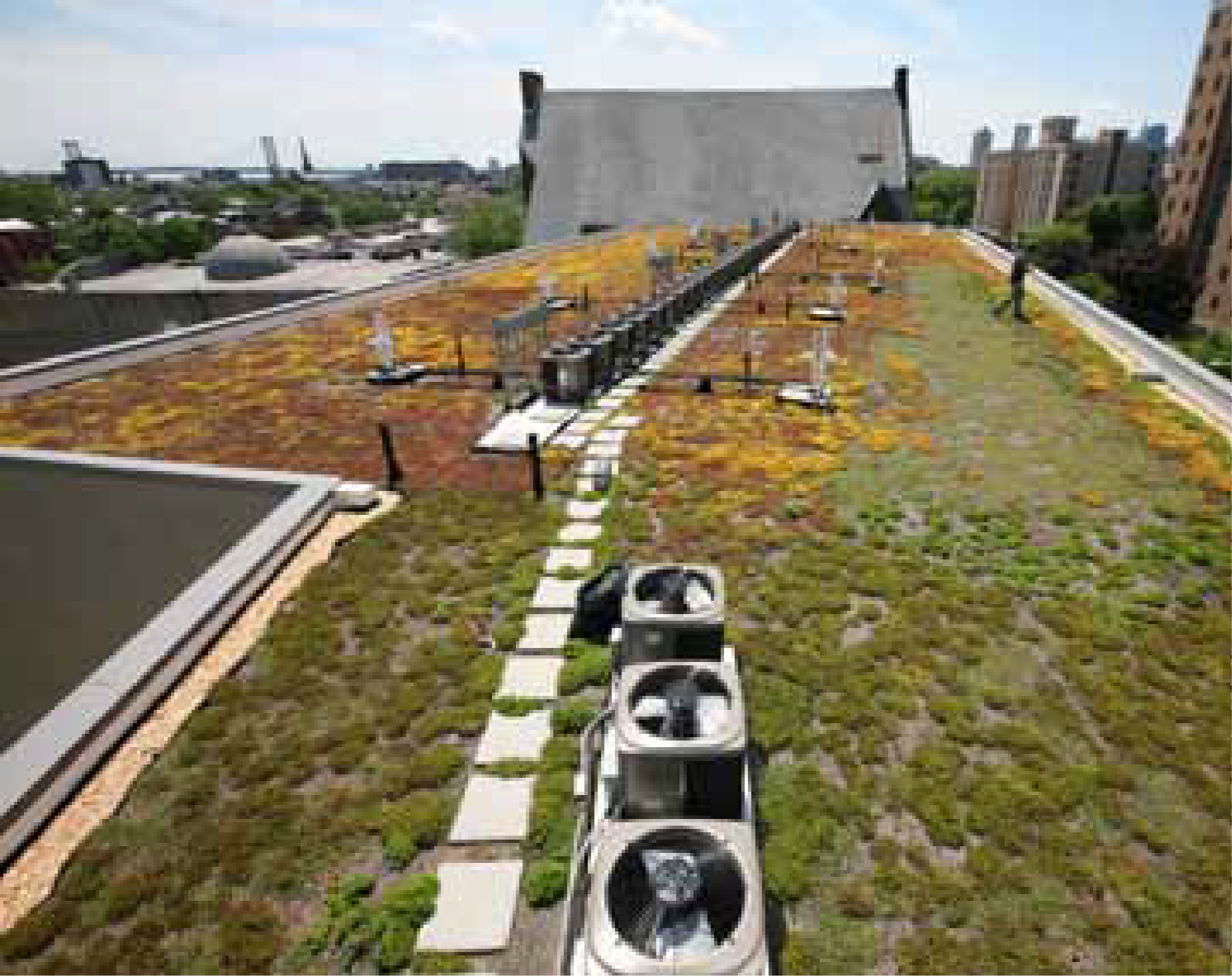 Mt Tabor_project_sheets-4-01.png