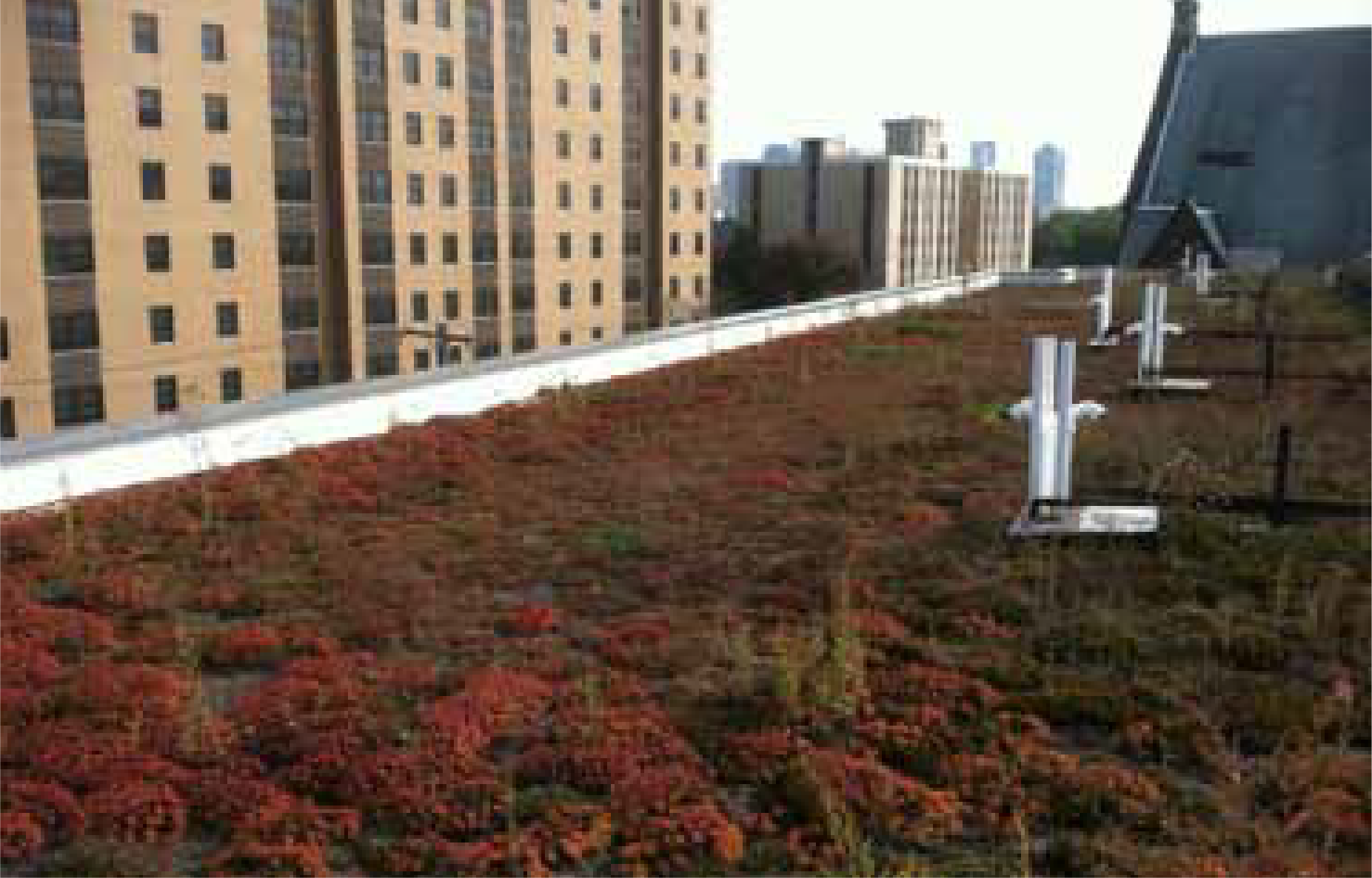 Mt Tabor_project_sheets-5-01.png