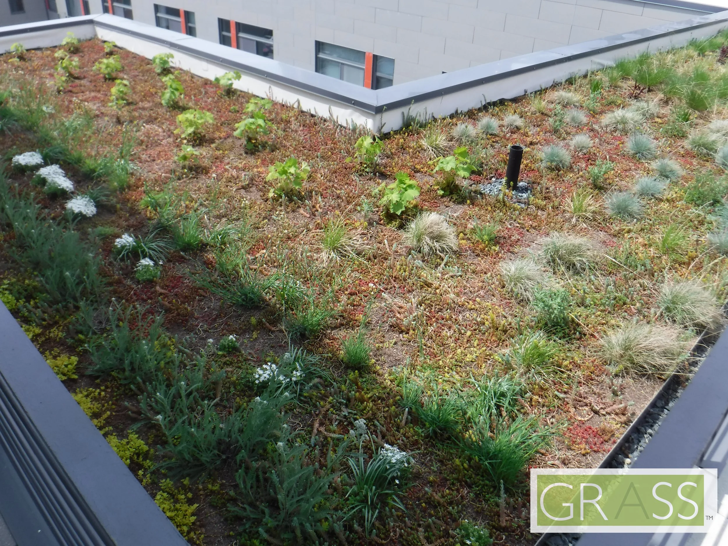 Copy of DSCF8073.JPG