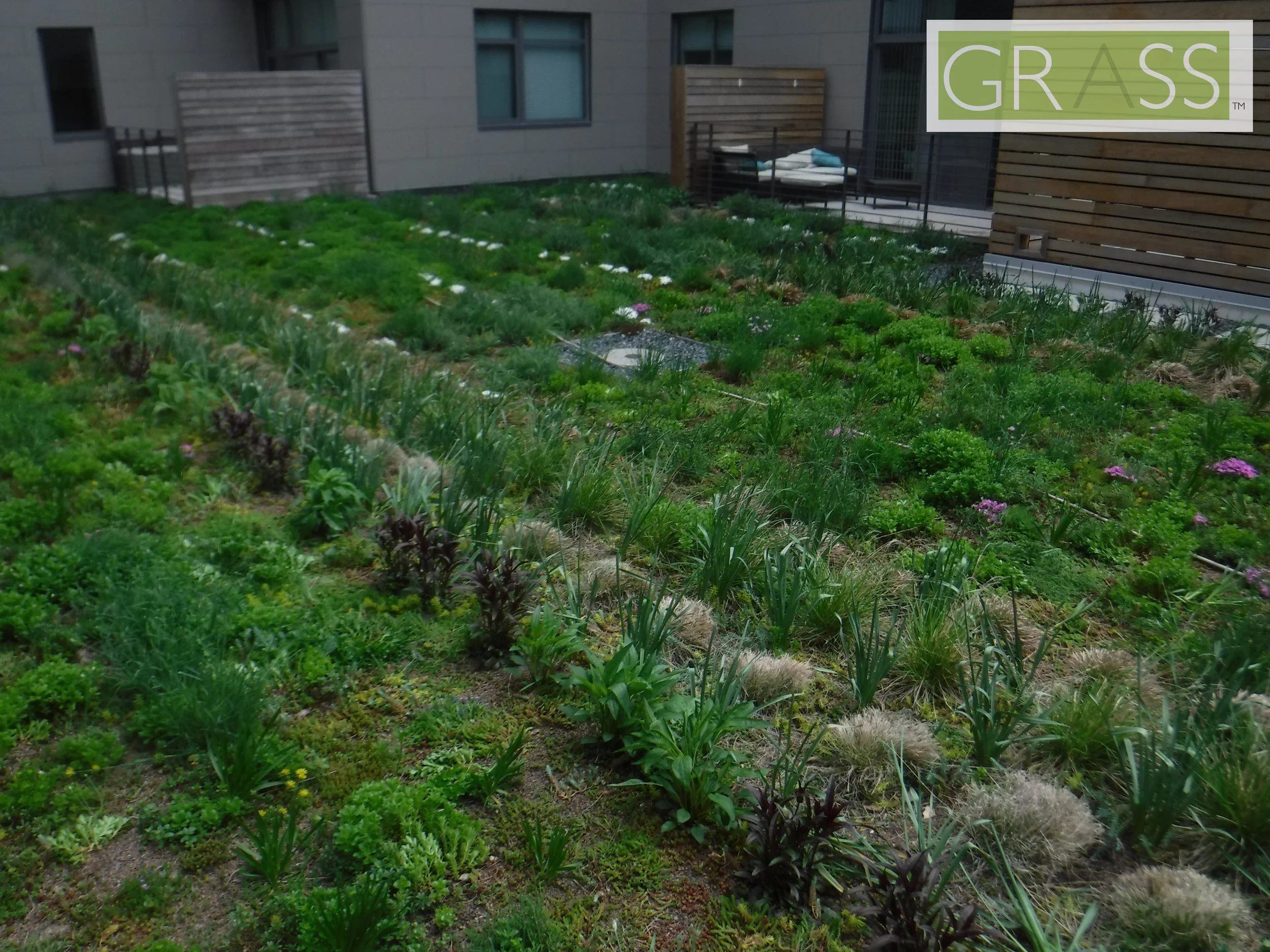 Copy of DSCF8053.JPG