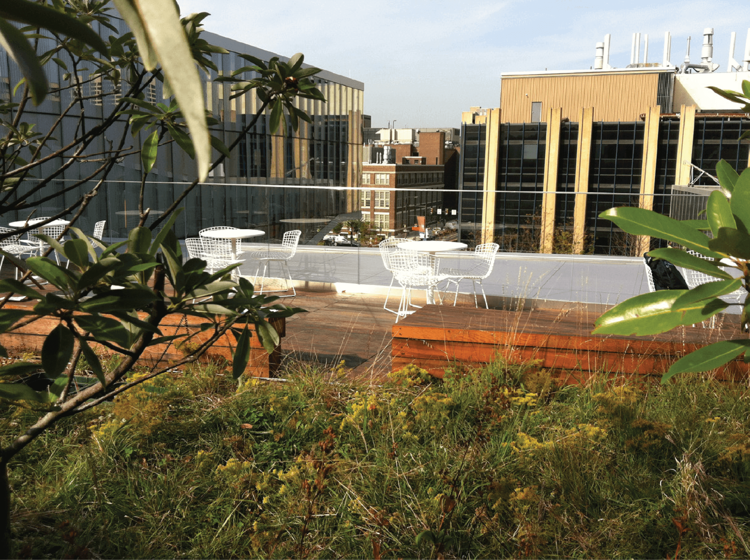 SINGH CENTER FOR NANOTECHNOLOGY