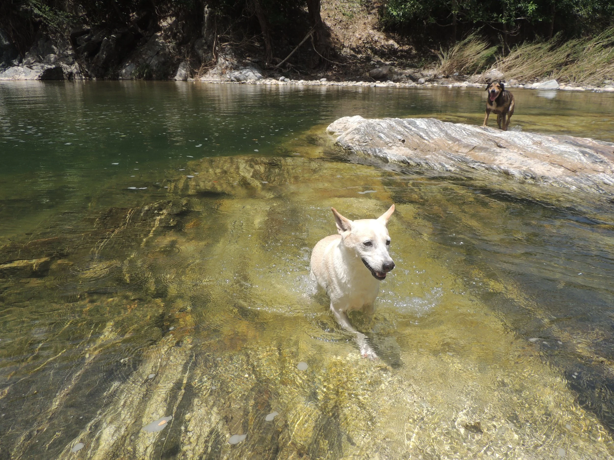 Posa Encantada (The Enchanted Pool)