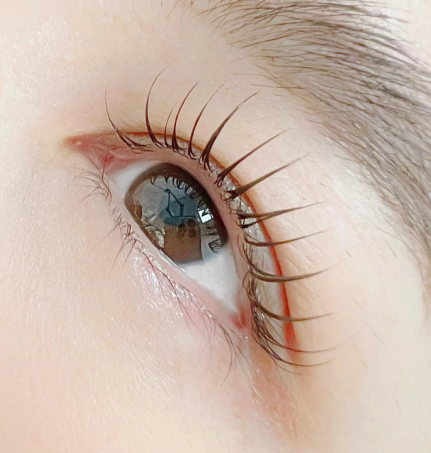 ▫️𝙺𝚛𝚛𝚊𝚝𝚒𝚗 𝚕𝚊𝚜𝚑 𝚕𝚒𝚏𝚝

#eyelashlondon #london #eyelashextension #japan #lash #blowlamination #volumelash #japaneseeyelash #lashfiller #lashlift #eyelashextensionlondon #eyelashjapanese
#マツエク#まつ毛エクステ #まつ毛エクステンション #まつエク #ボリュームラッシュ ＃ナチュラルラッ