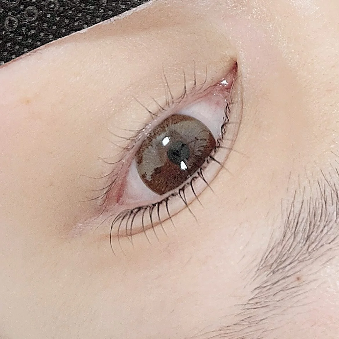 ▫️𝙺𝚎𝚛𝚊𝚝𝚒𝚗 𝚕𝚊𝚜𝚑 𝚕𝚒𝚏𝚝

Instagram 

#eyelashlondon #london #eyelashextension #japan #lash #blowlamination #volumelash #japaneseeyelash #lashfiller #lashlift #eyelashextensionlondon #eyelashjapanese
#マツエク#まつ毛エクステ #まつ毛エクステンション #まつエク #ボリュームラ