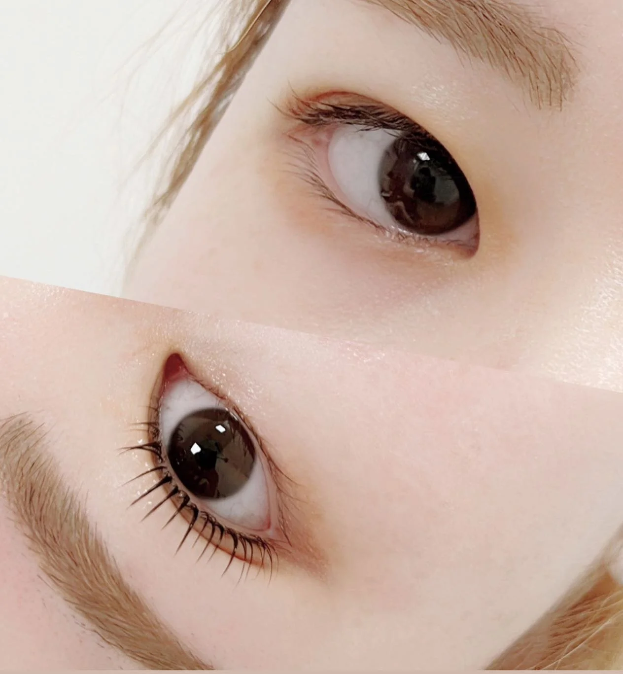 ▫️Keratin lash lift

#eyelashlondon #london #eyelashextension #japan #lash #blowlamination #volumelash #japaneseeyelash #lashfiller #lashlift #eyelashextensionlondon #eyelashjapanese
#マツエク#まつ毛エクステ #まつ毛エクステンション #まつエク #ボリュームラッシュ ＃ナチュラルラッシュ ＃アイラッシュ#日本 #