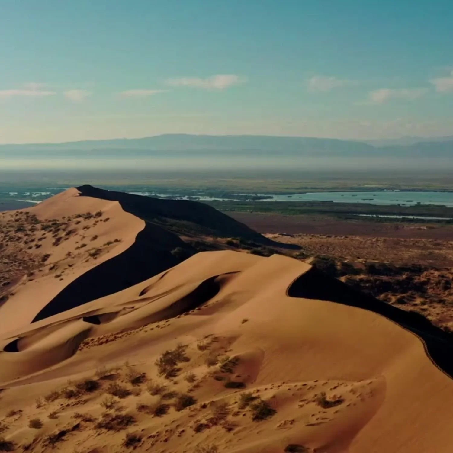 LUZIDER TRAUM- Kostenloser Online-Event