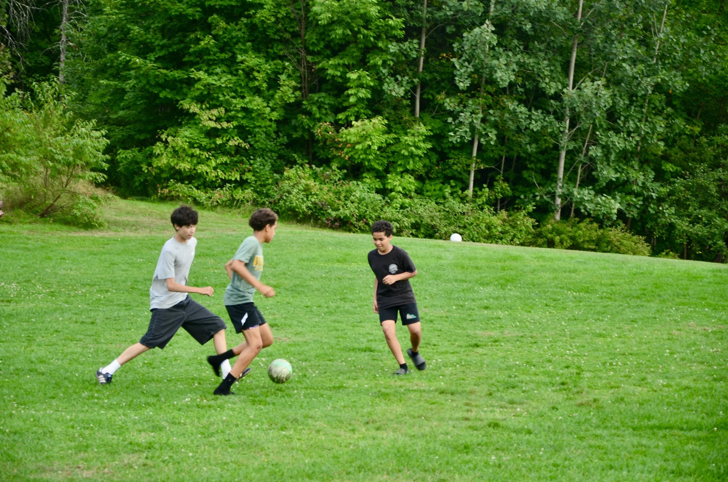 DSC_3153.jpeg