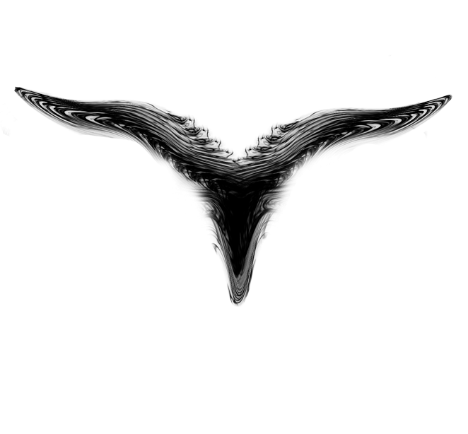 black bird white sky 