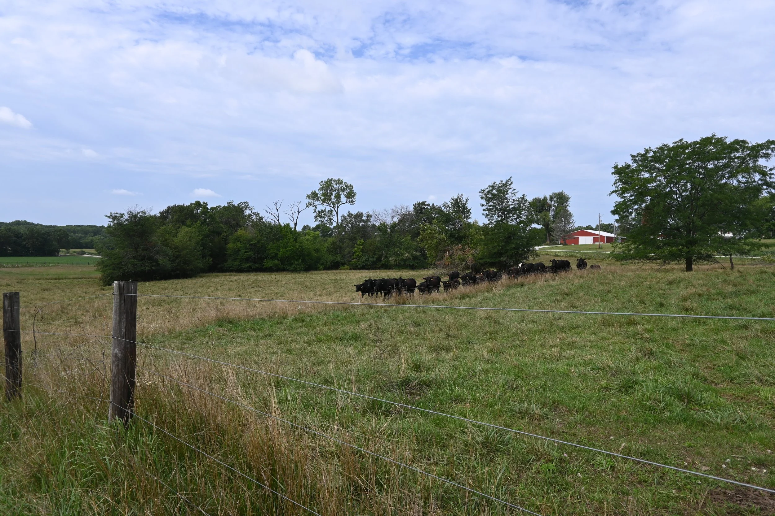 DSC_0319.JPG