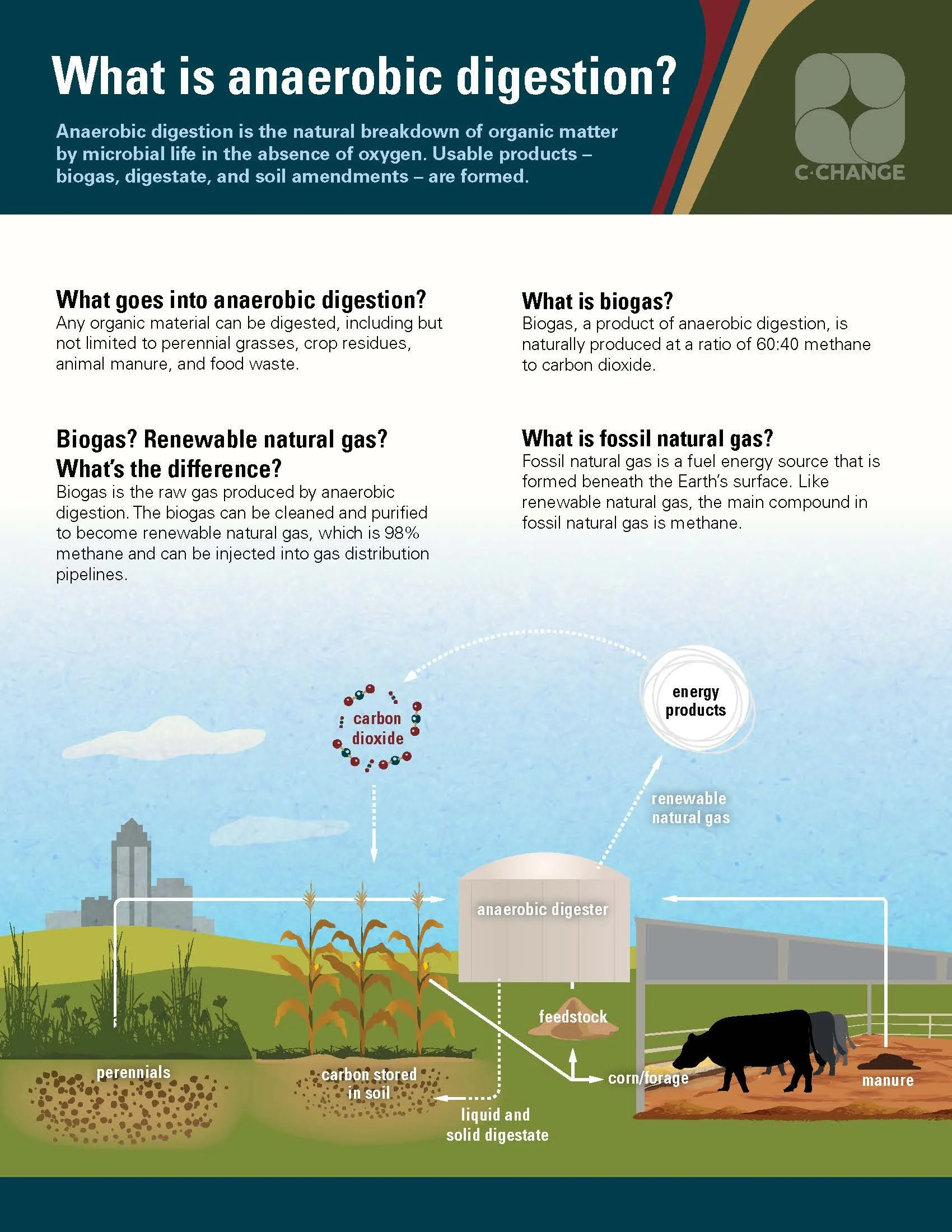 Infographic: What is Anaerobic Digestion?