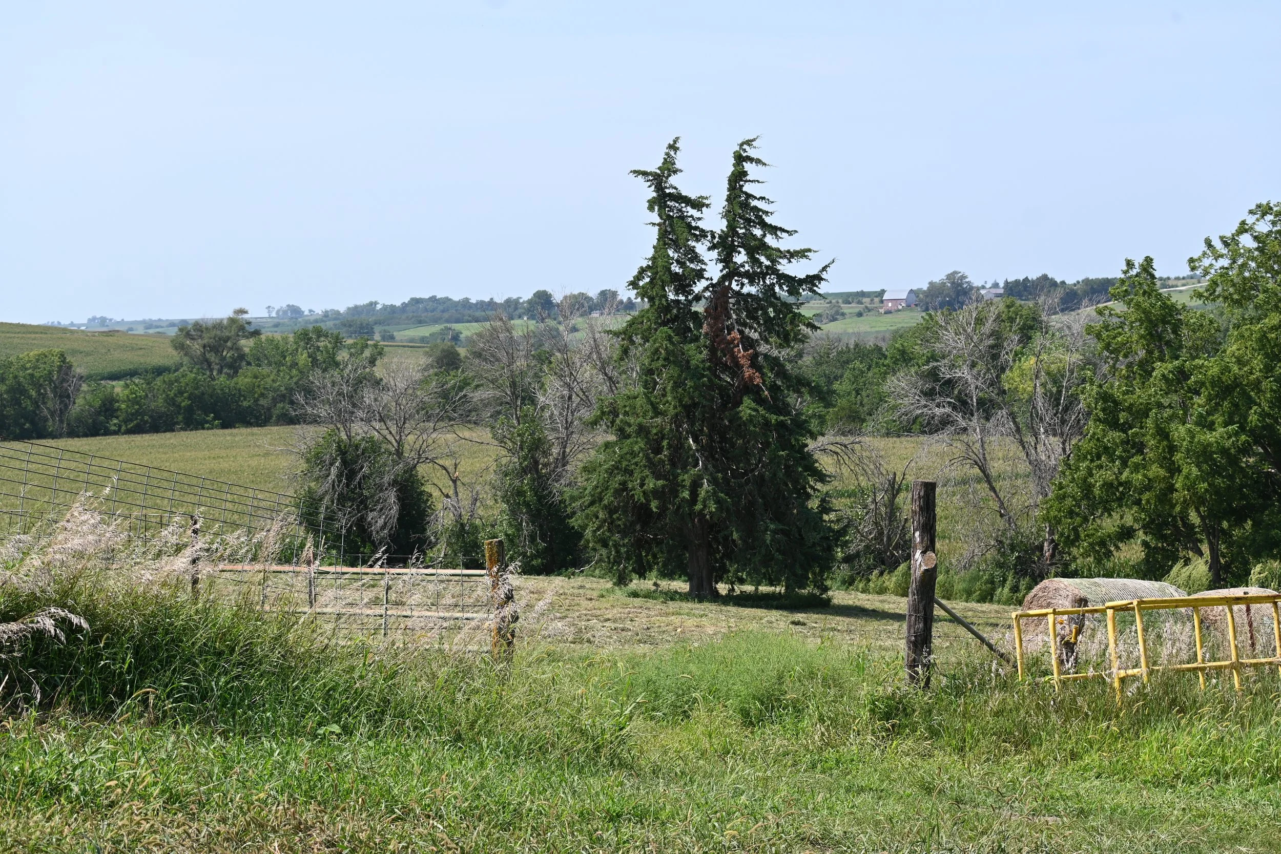 DSC_0449.JPG