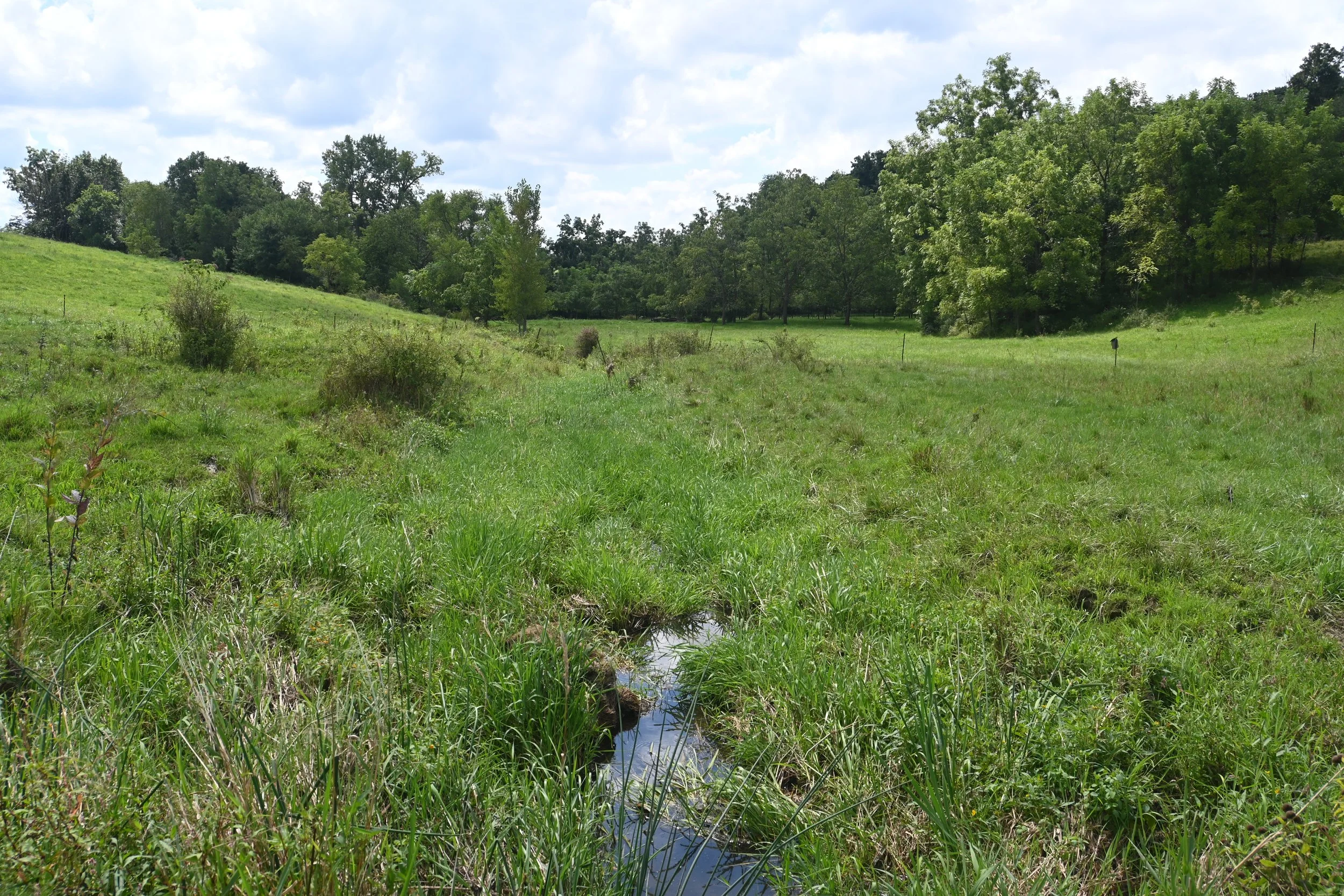 DSC_0486.JPG