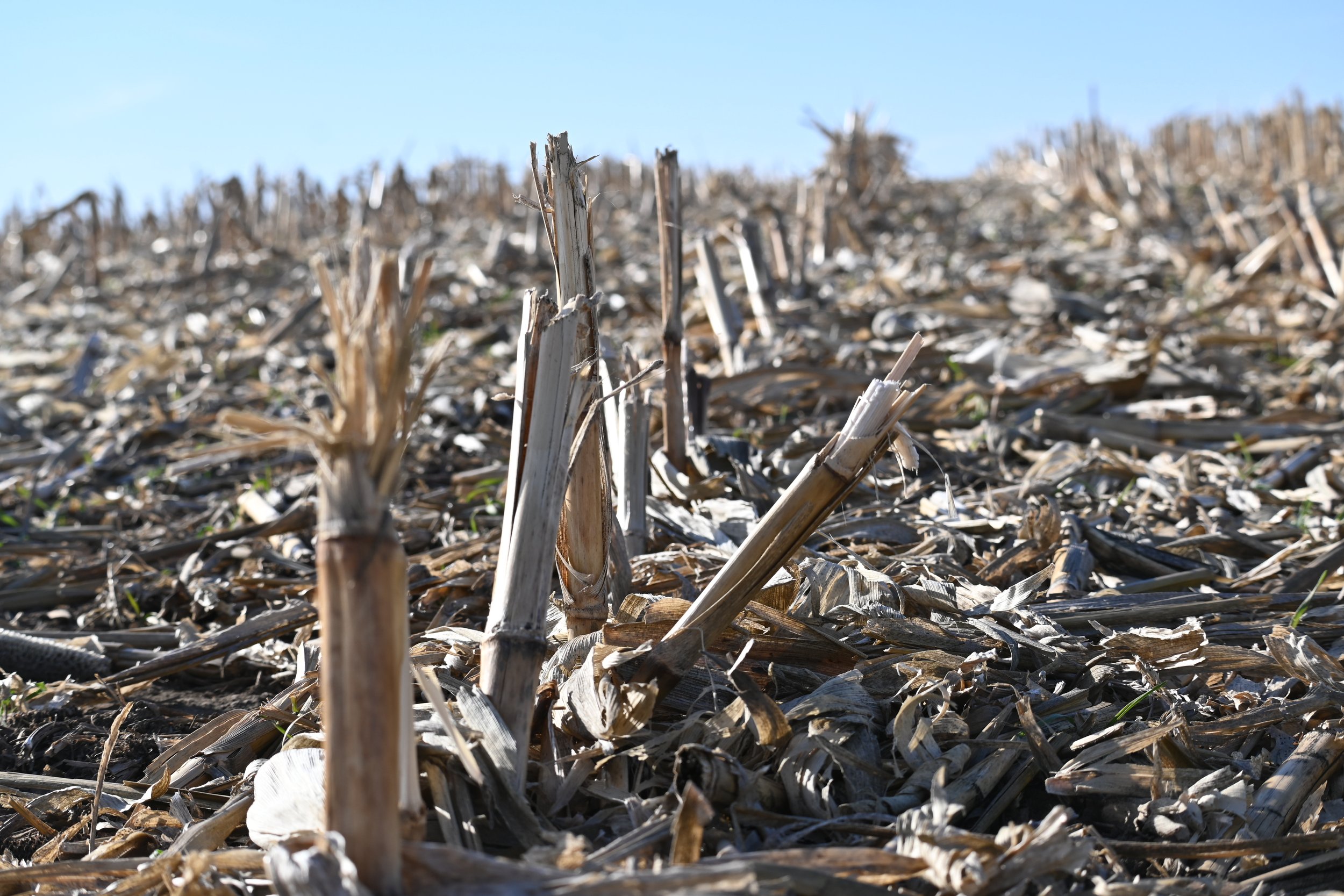 No-Till and Soil Health Field Day