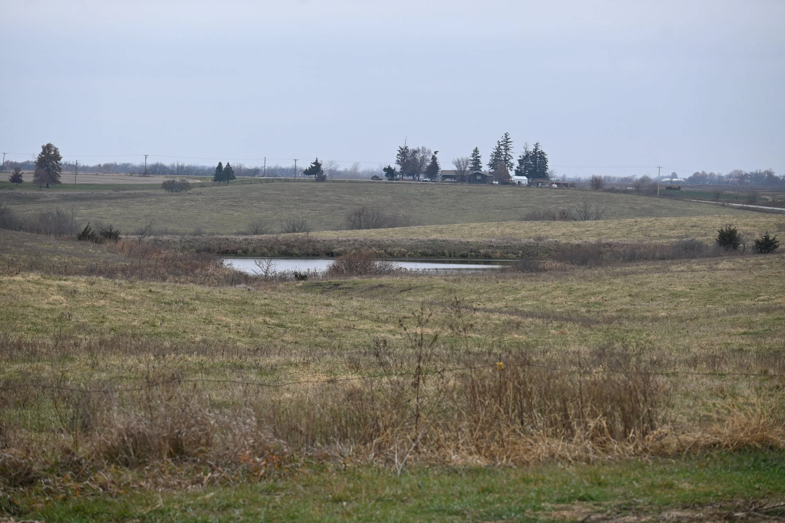 DSC_1420.JPG