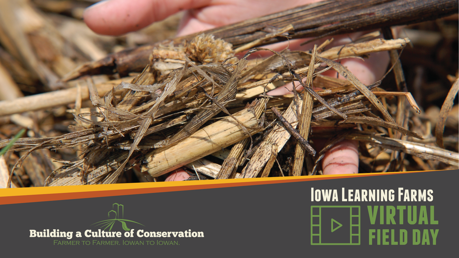 Field Day Archive: Exploring the Impacts of Residue Management on Crop Yield and Fertilizer Inputs