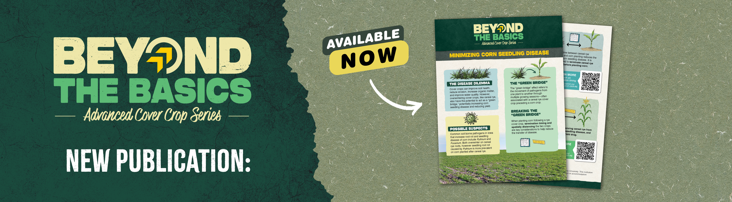 Beyond the Basics Banner.png