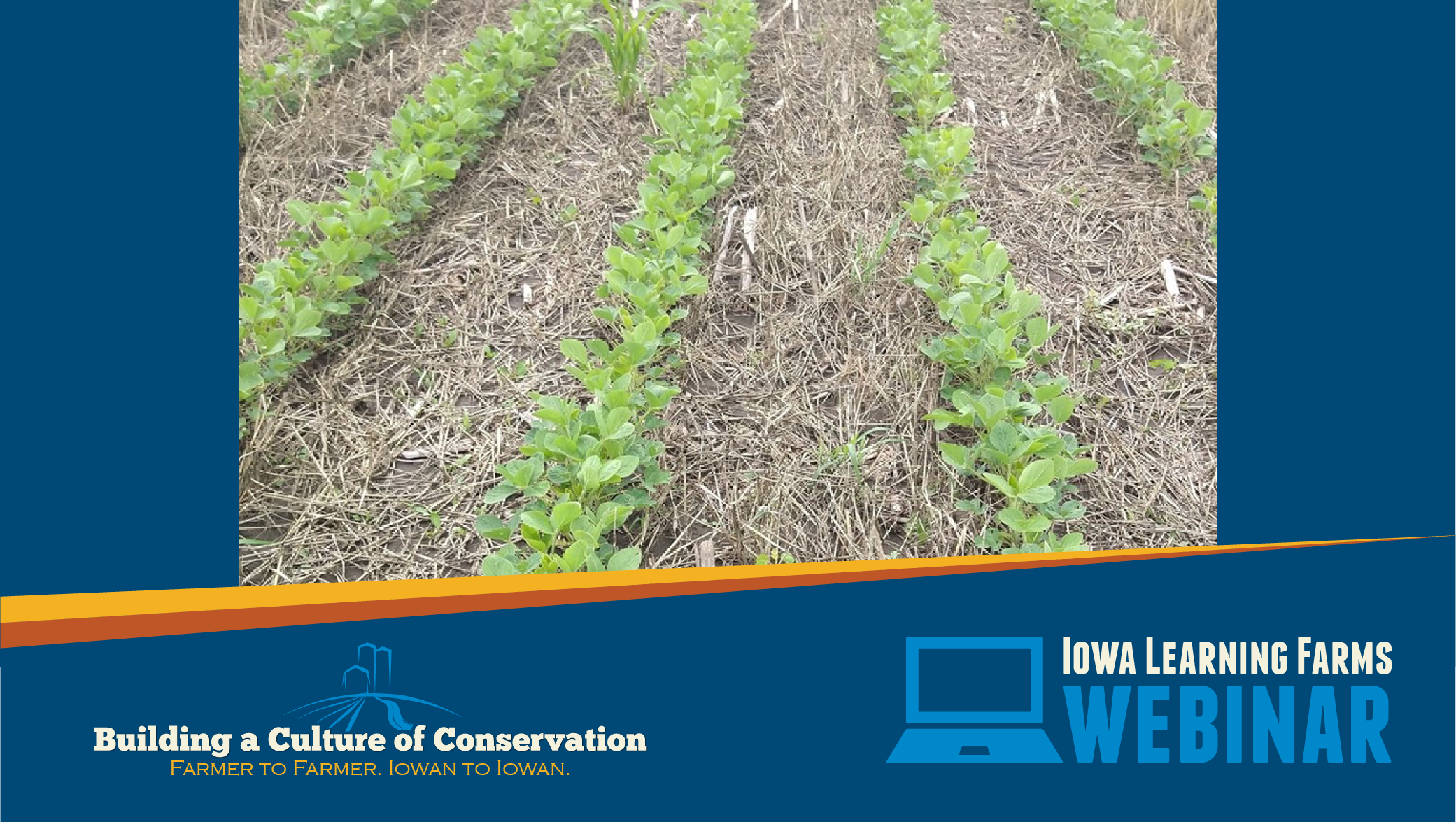 March 18, 2026: Cereal Rye Cover Crops for Weed Control: The Good, the Bad, and the Ugly