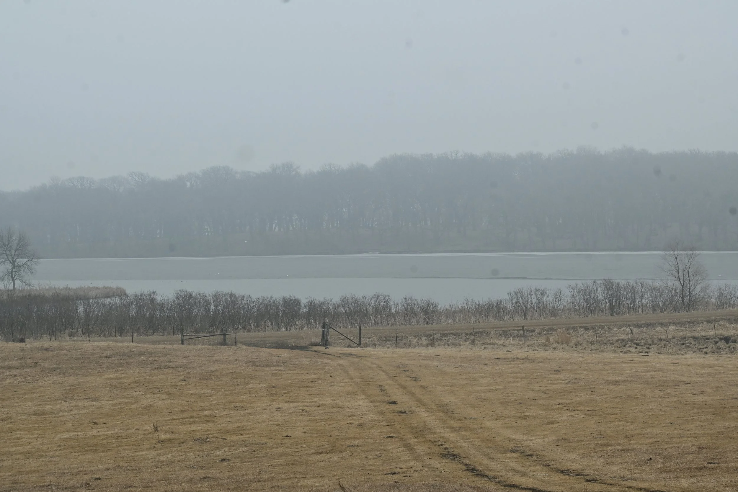  One of the Great Lakes pictured in background with no-till crop field in forefront. 