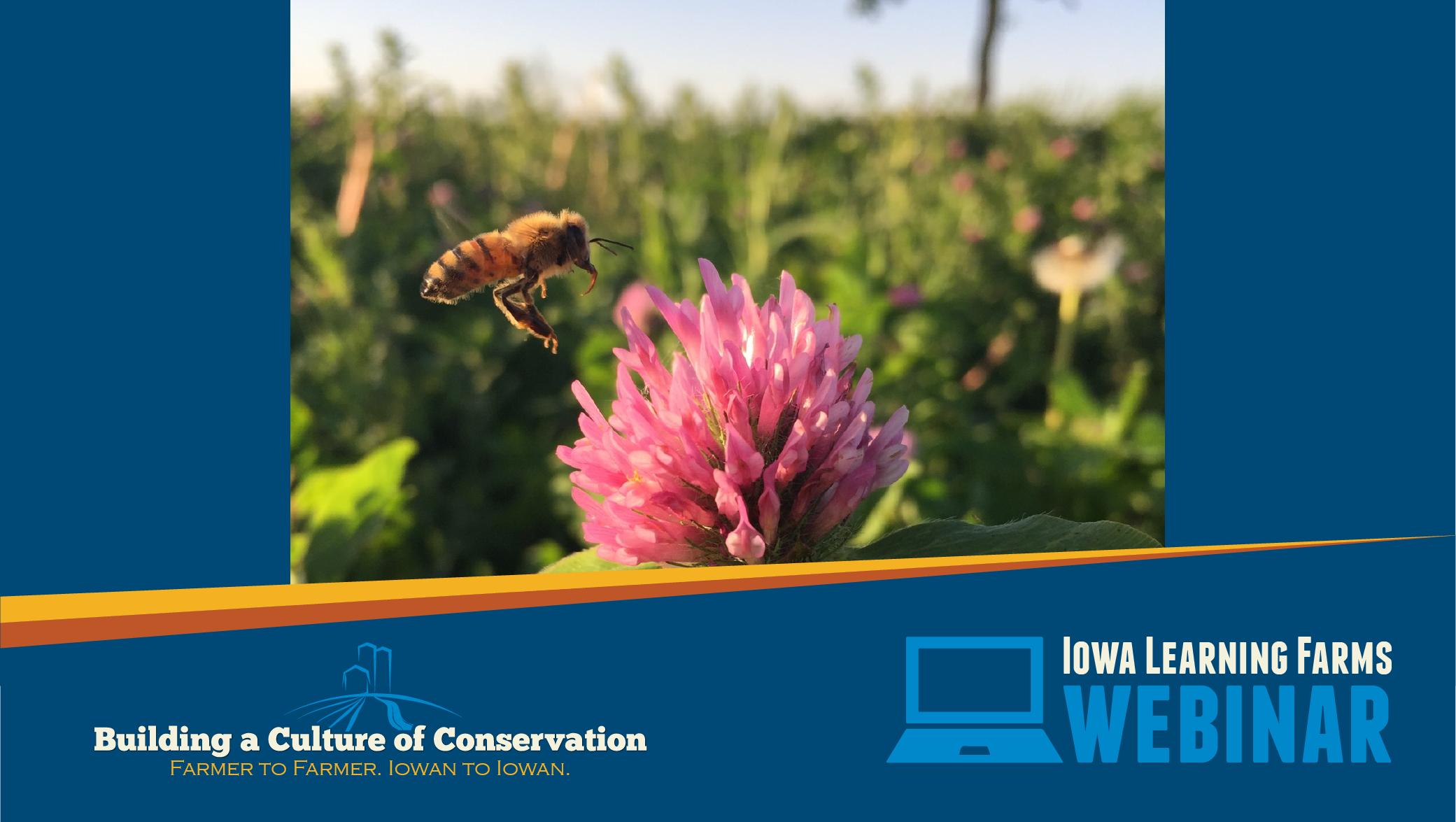 April 1, 2026: Honey Bees: Friends for Agriculture, Foes for Conservation?