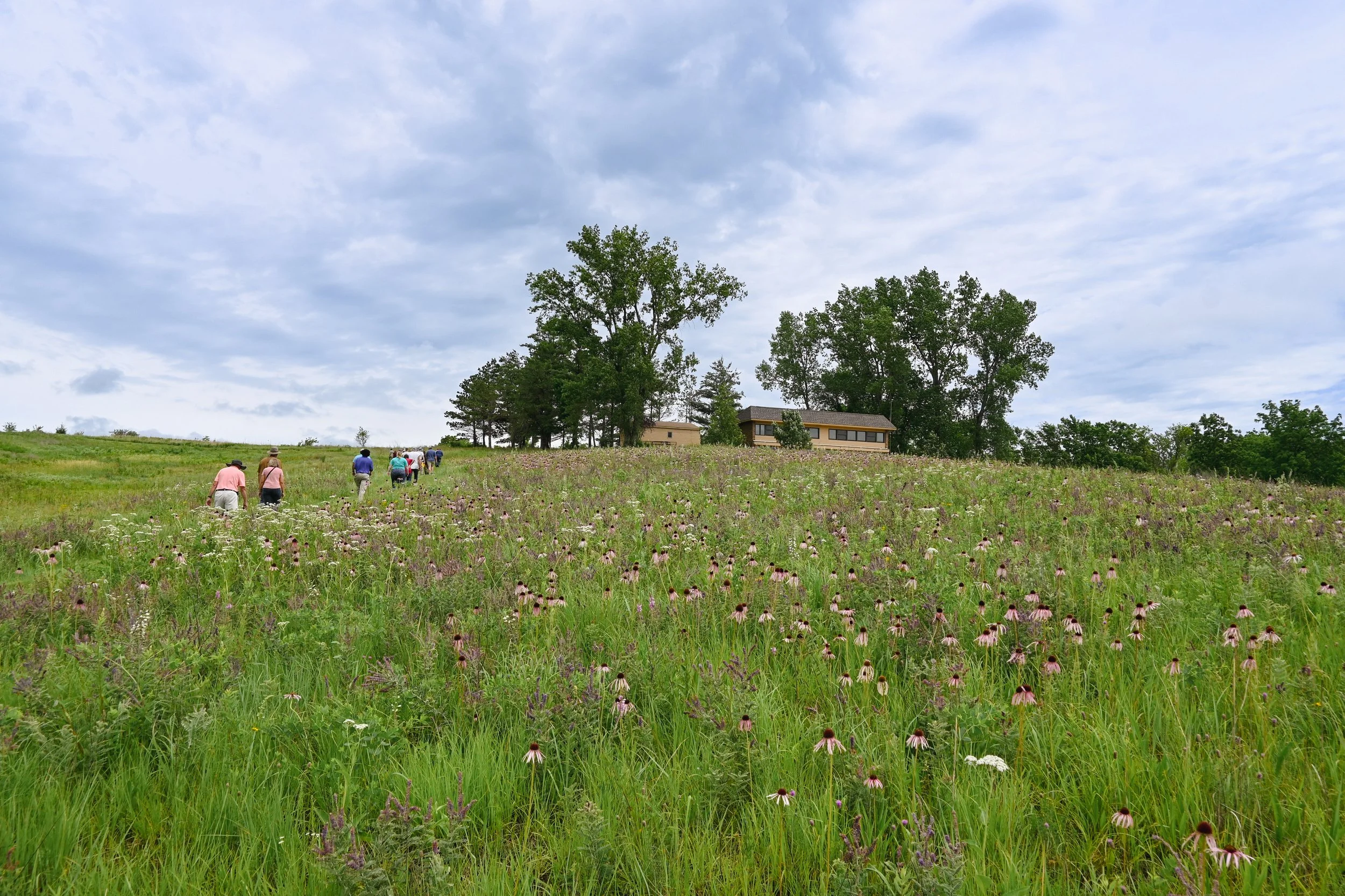 Prairie Establishment and Management Field Day