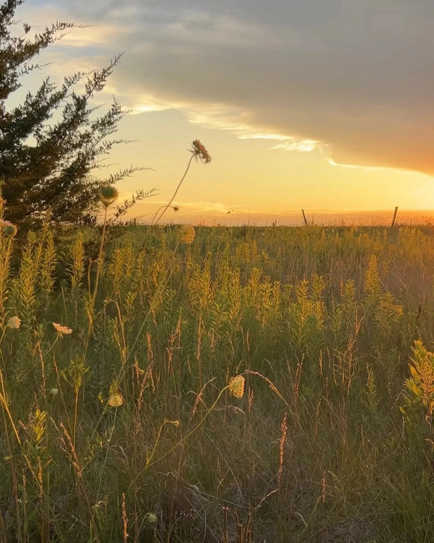  Sunset over prairie 