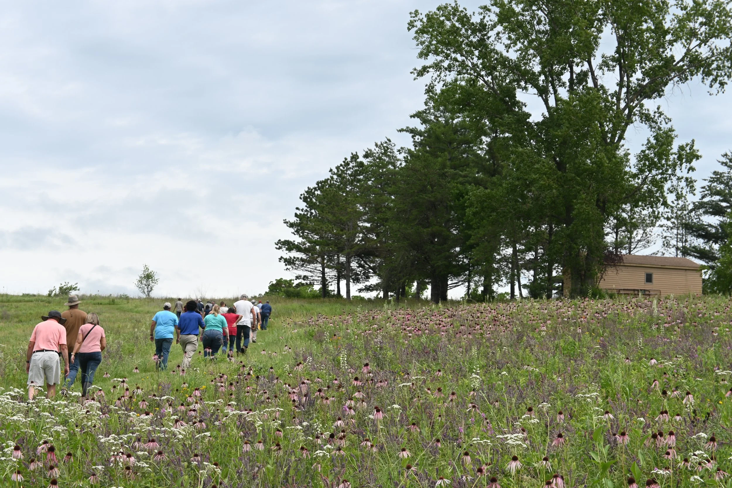  Group of people walking through a prairie in full bloom 