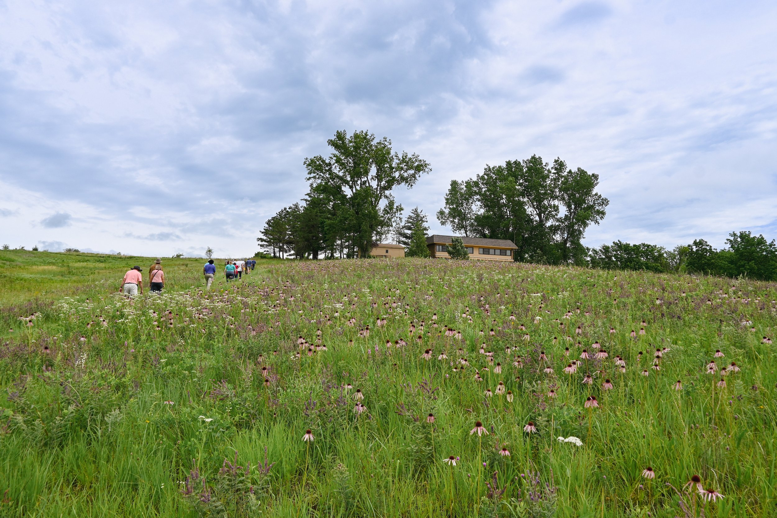 Prairie Establishment and Management Field Day