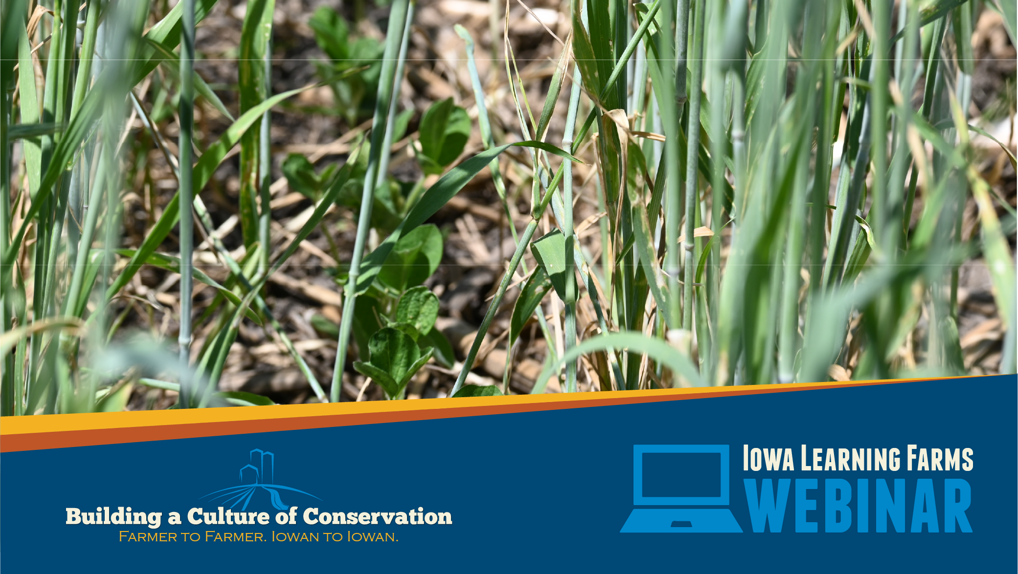 August 12, 2026: Agronomics of Relay Intercropping