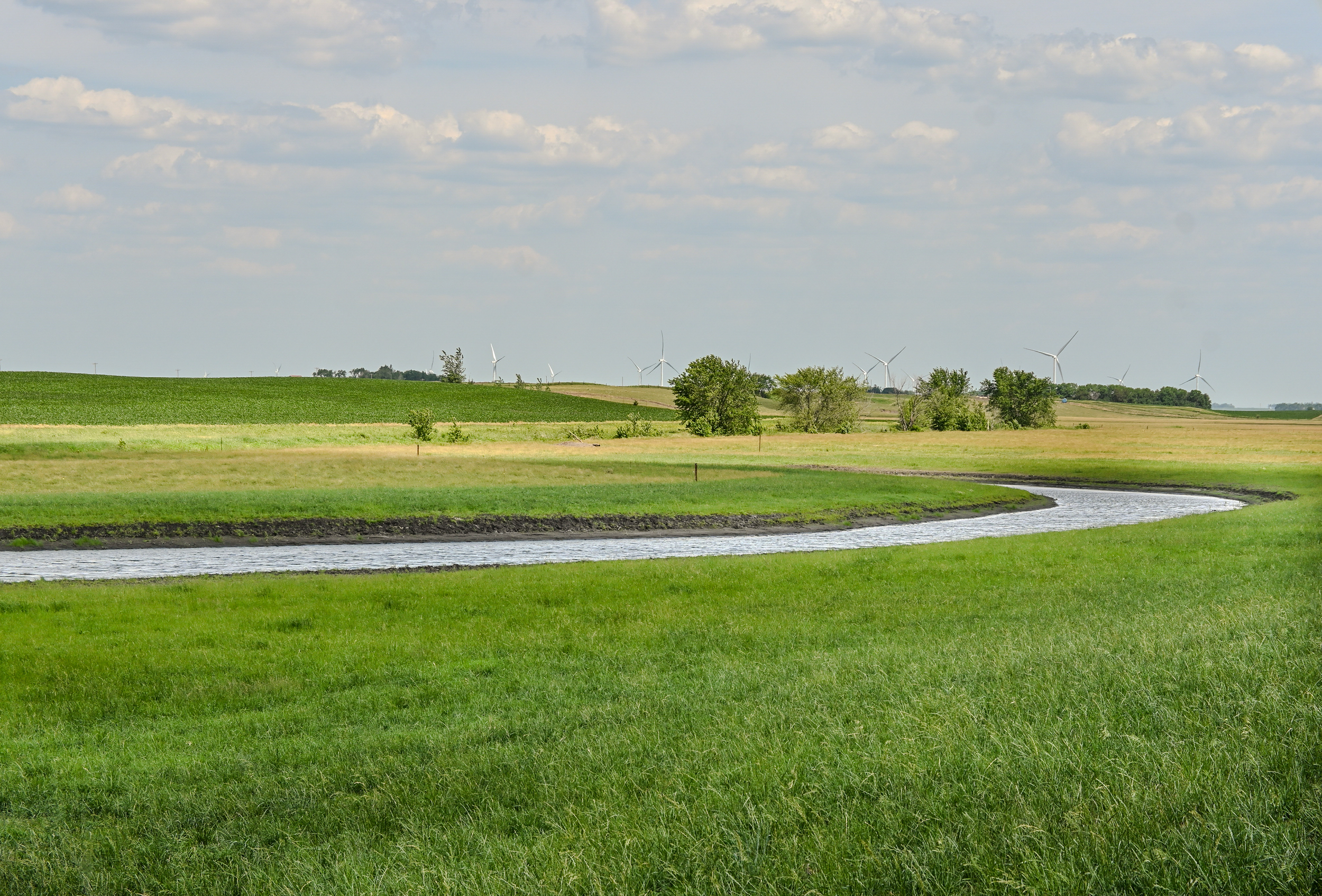 Oxbow and Streambank Restoration Field Day
