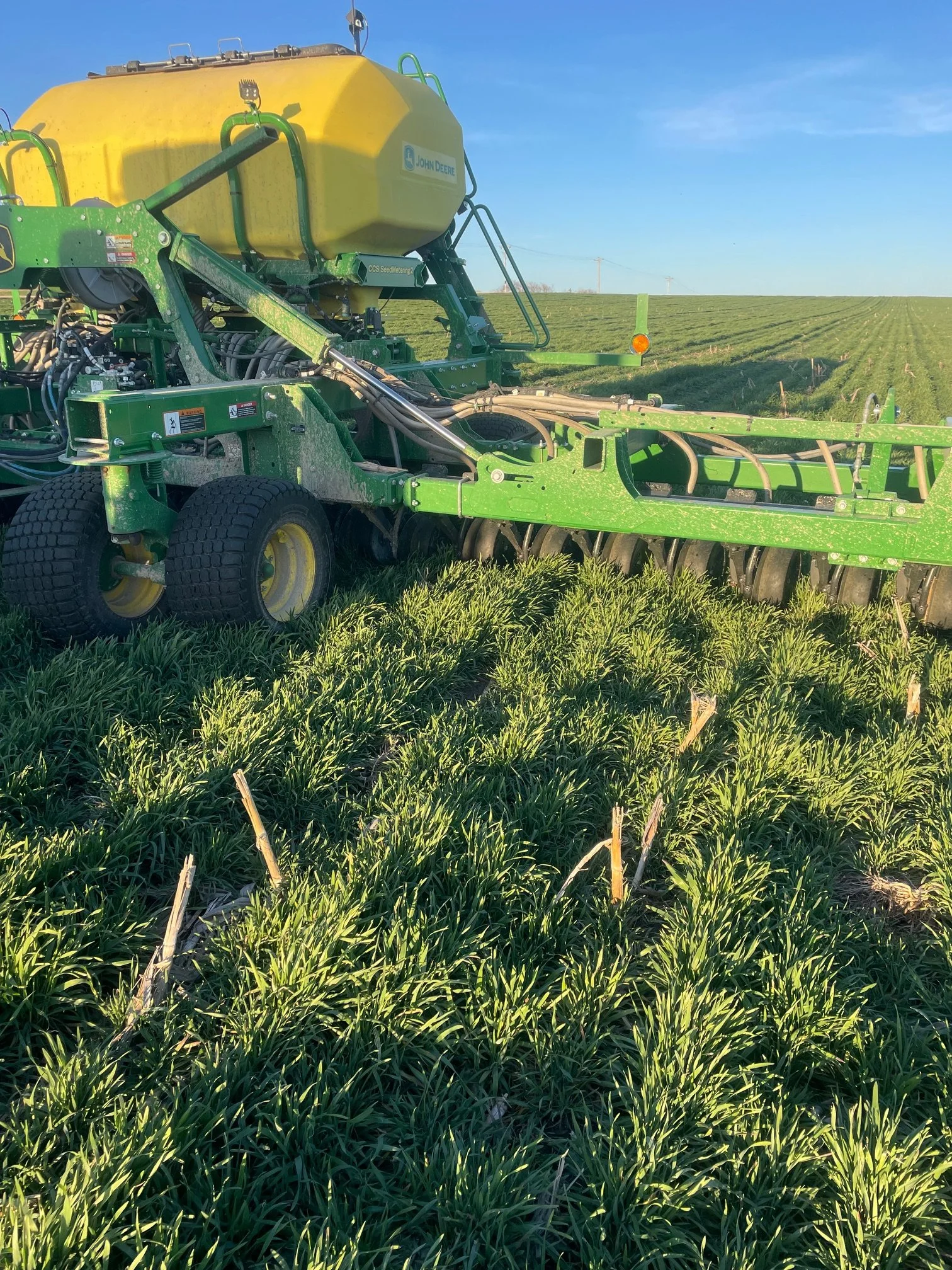  A John Deere no-till drill plants into a dense green cereal rye relay intercropping field under a clear blue sky. 