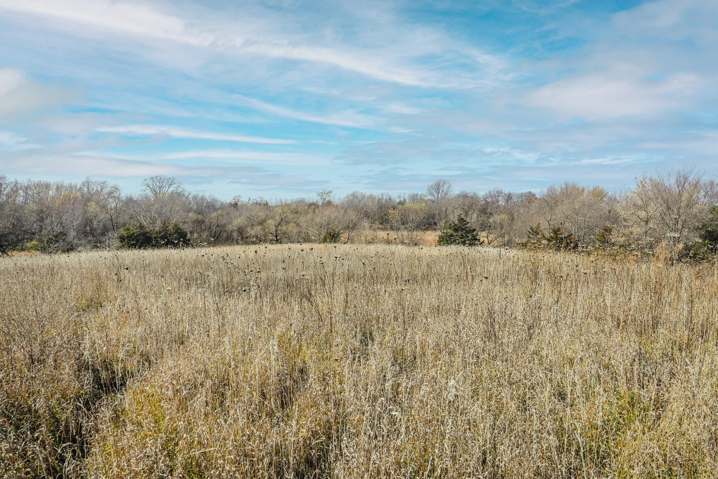 Prairie and Pollinator Field Day