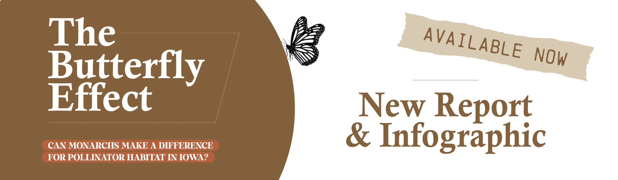 The Butterfly Effect Report