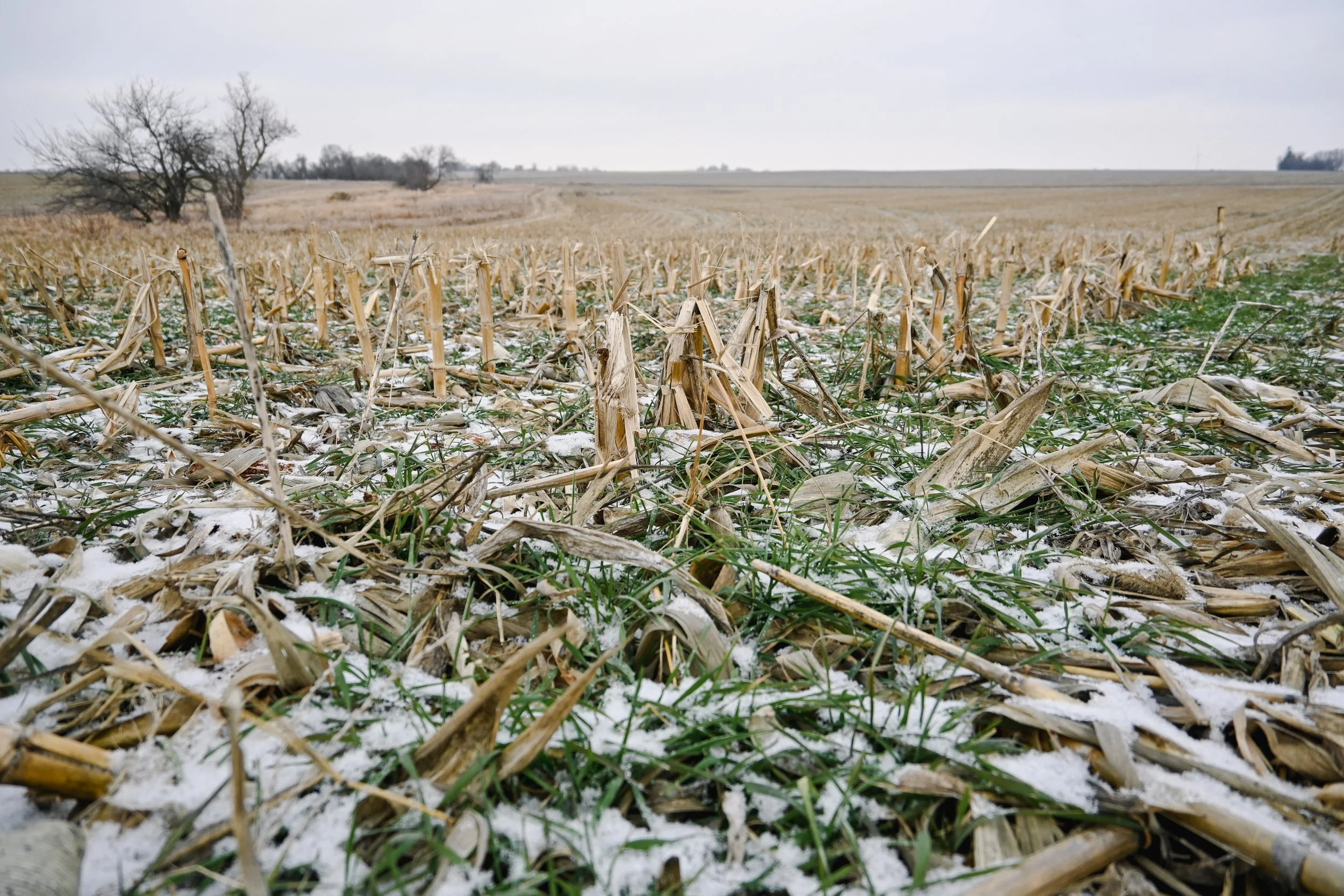 Cover Crop and No-Till Field Day