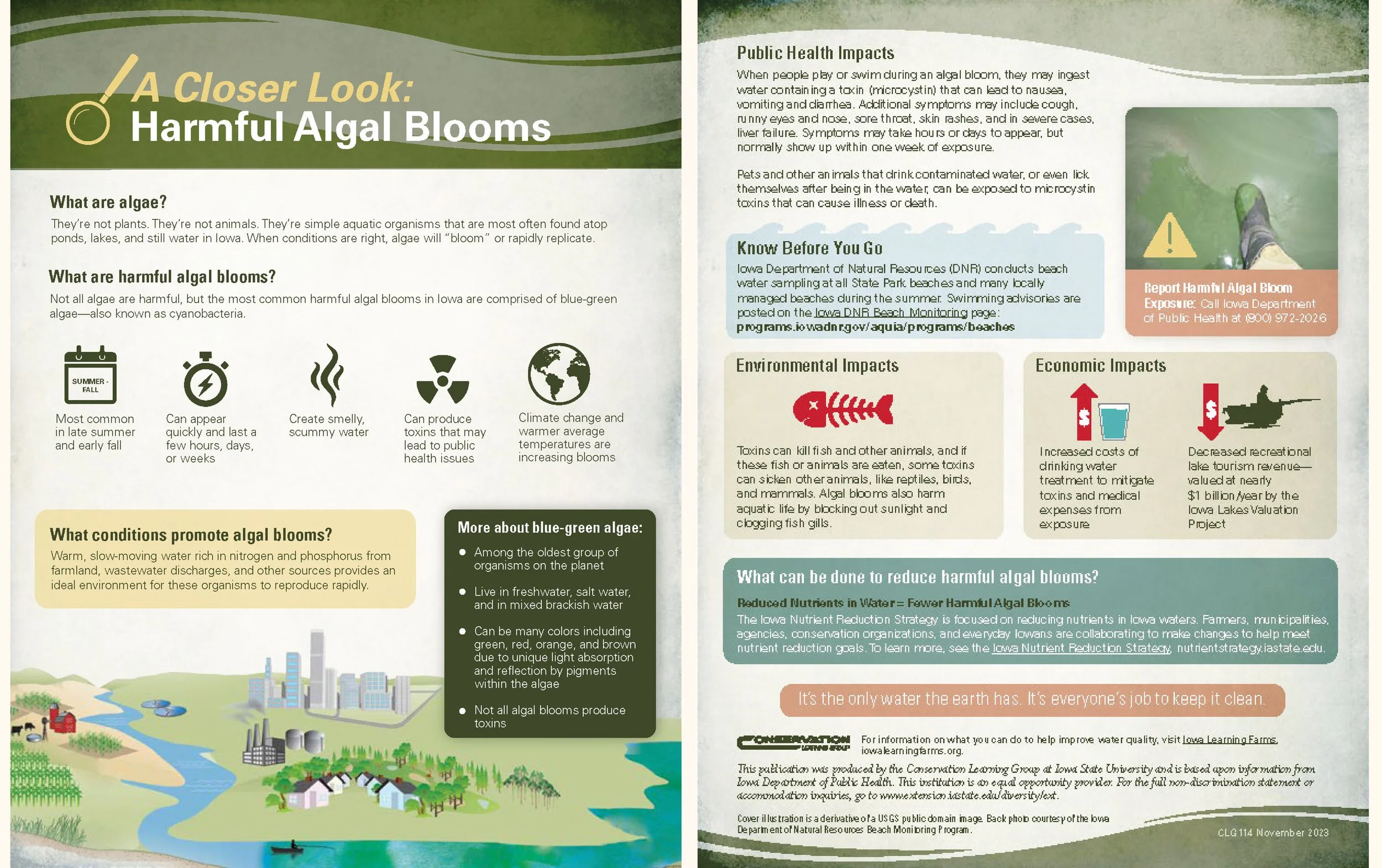 A Closer Look: Harmful Algal Blooms — Iowa Learning Farms