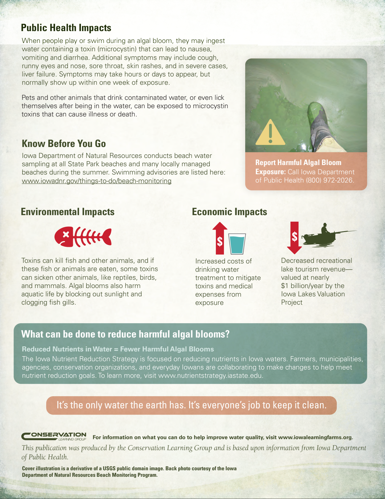 A Closer Look: Harmful Algal Blooms — Iowa Learning Farms