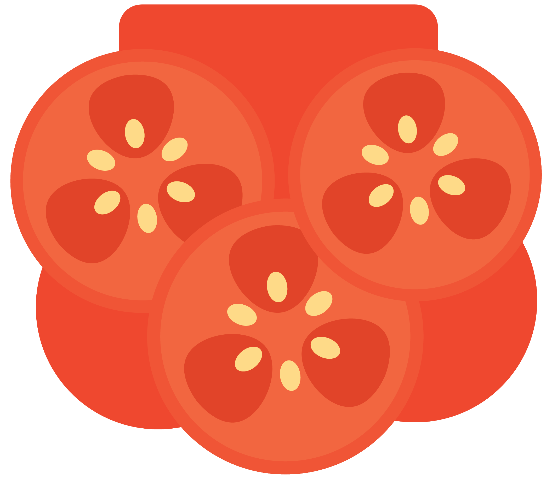 Tomato Notebook Divider