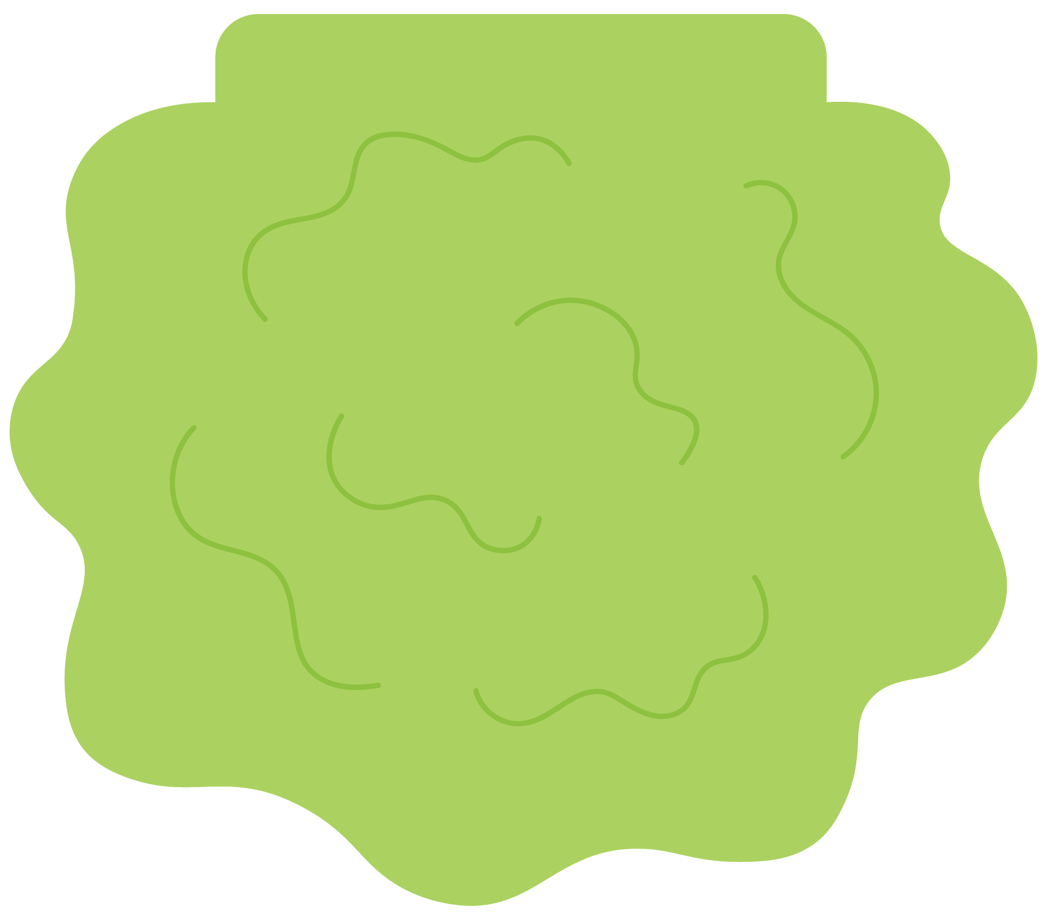 Lettuce Notebook Divider