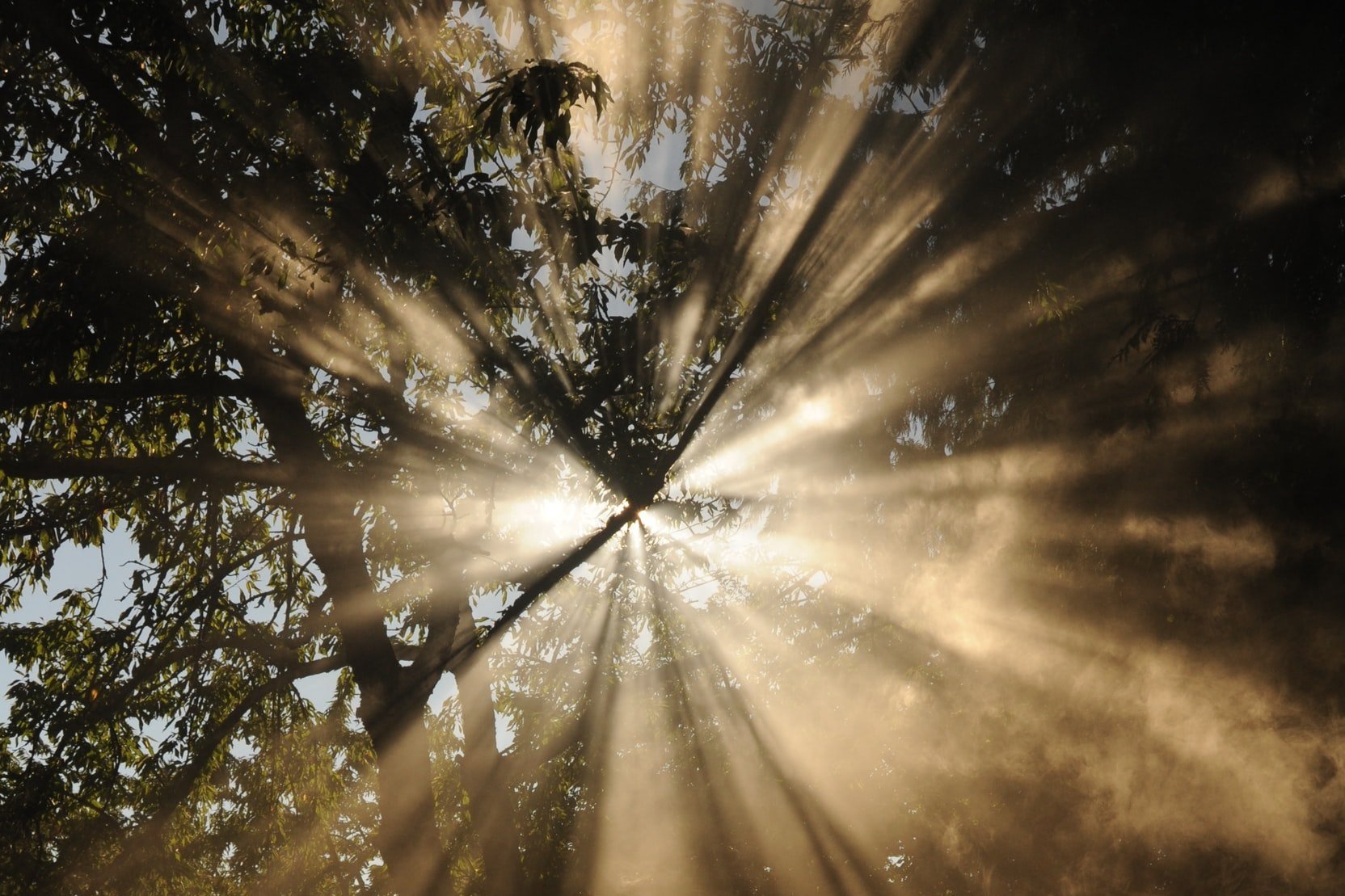 Light!