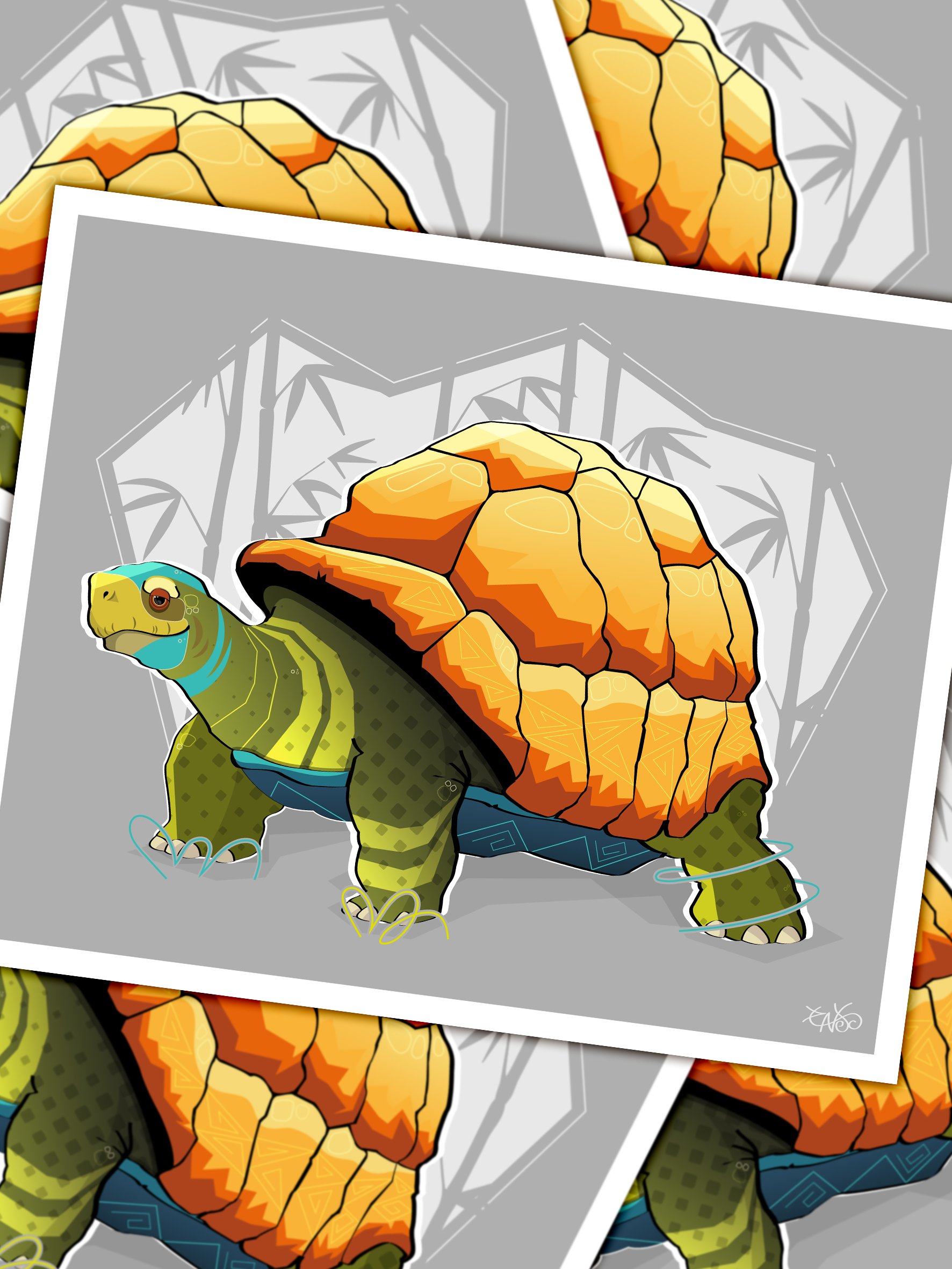 turtle.jpg
