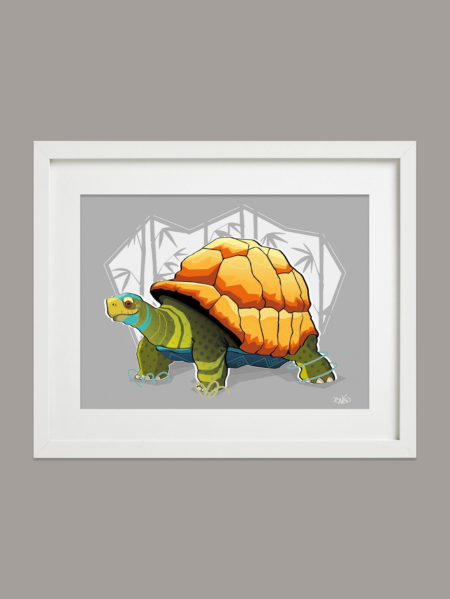 turtle_frame.jpg