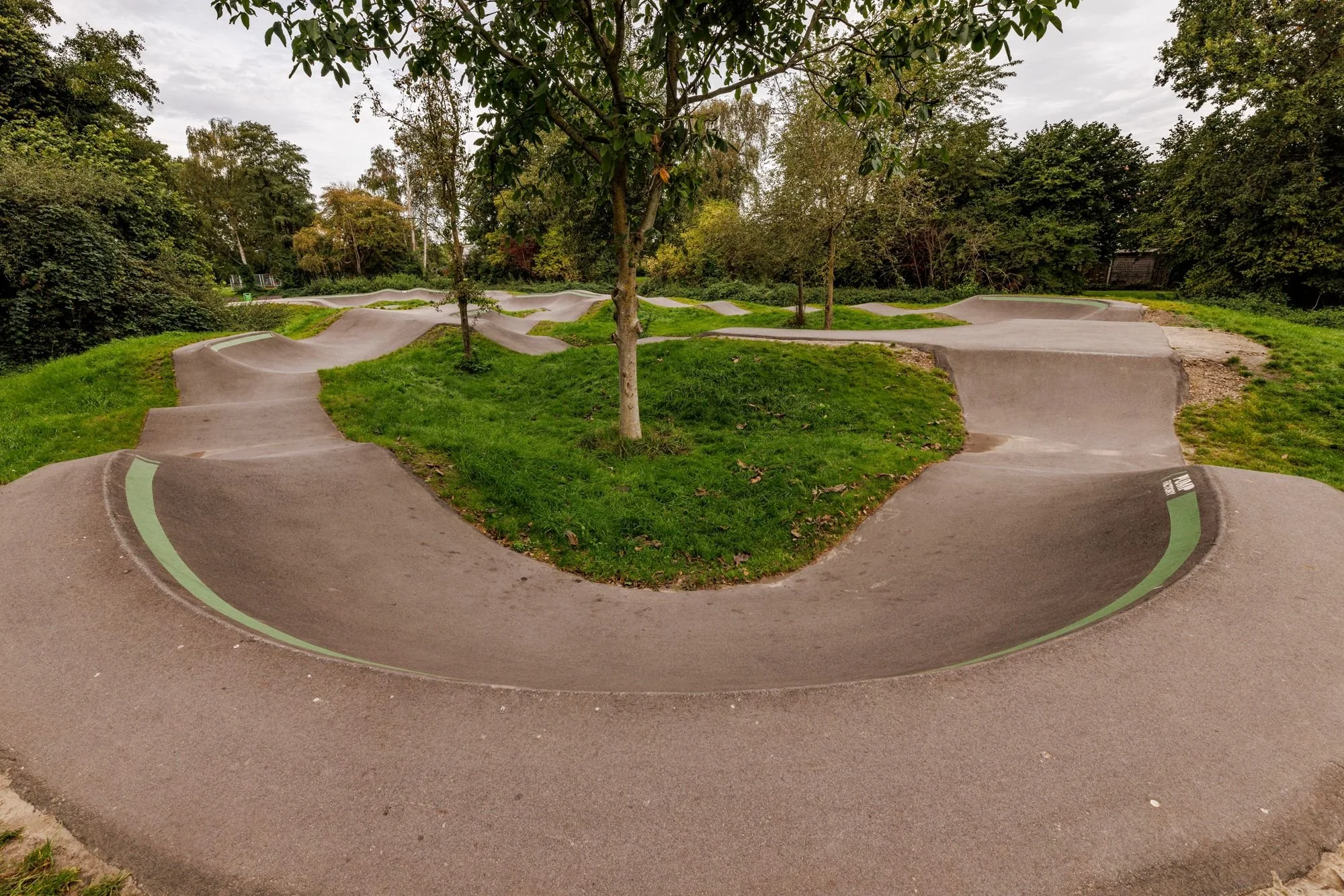 Kombocht met boom op pumptrack Lelystad