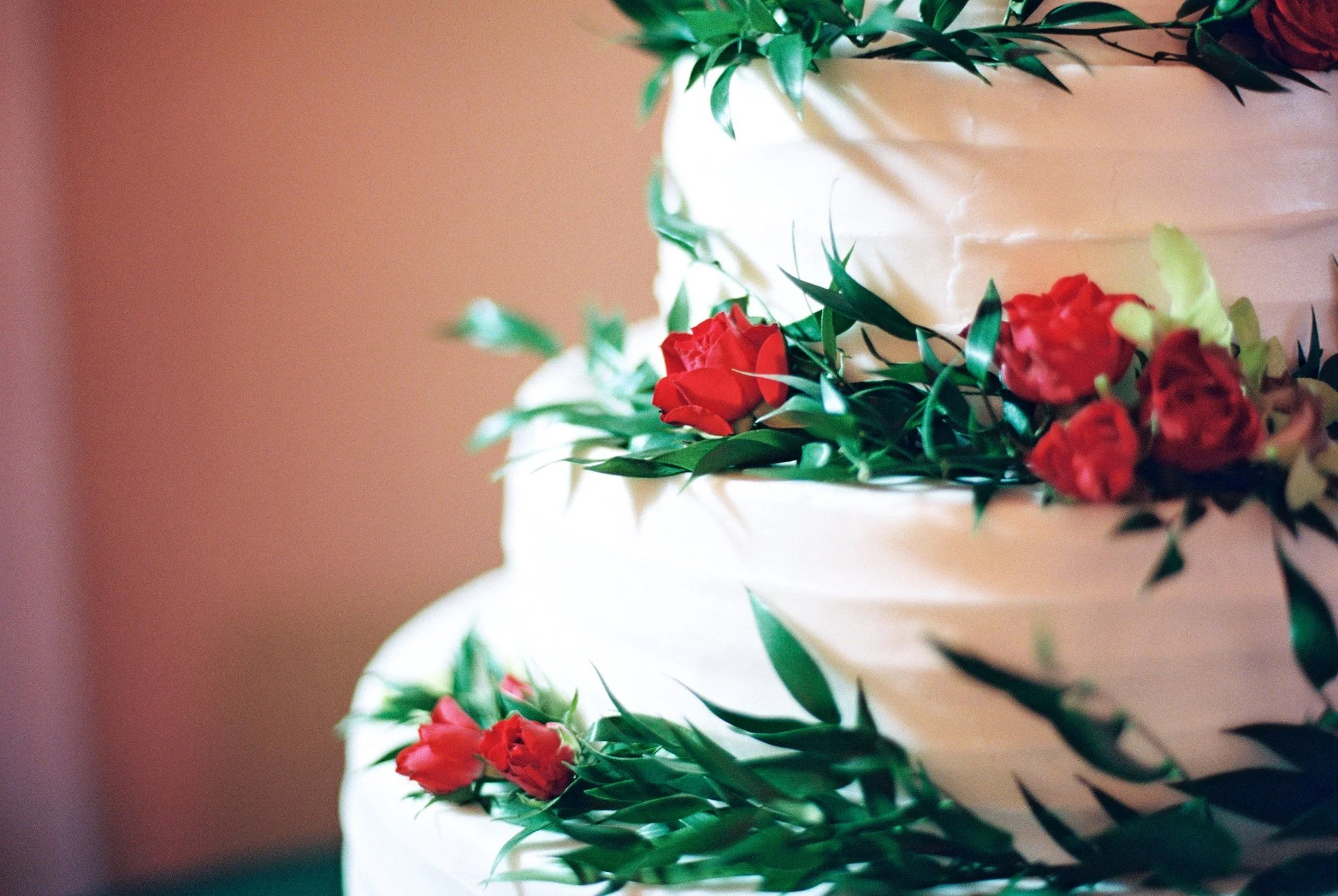 Bridgette Paul 10.jpeg