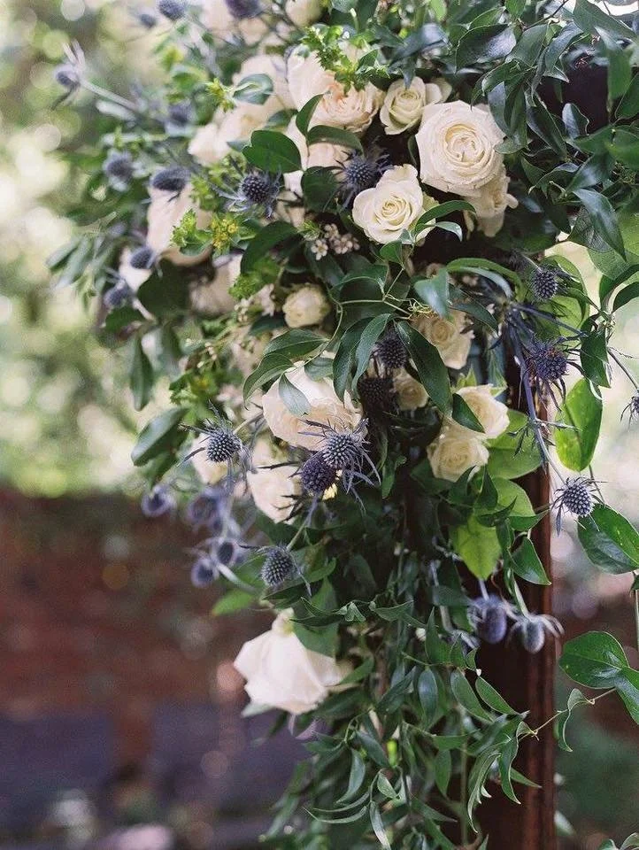 Catherine Jacob 11.jpg