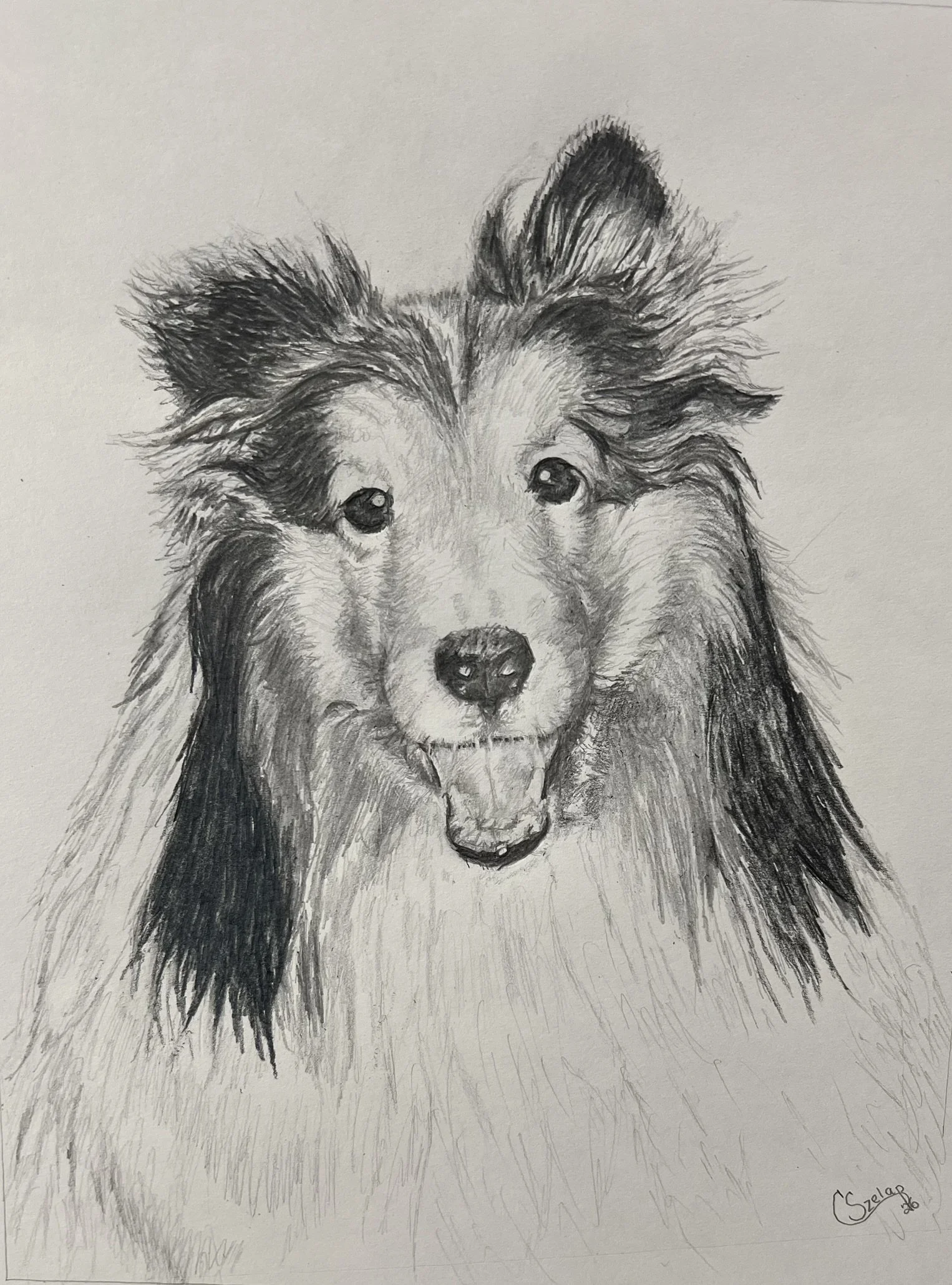Bailey